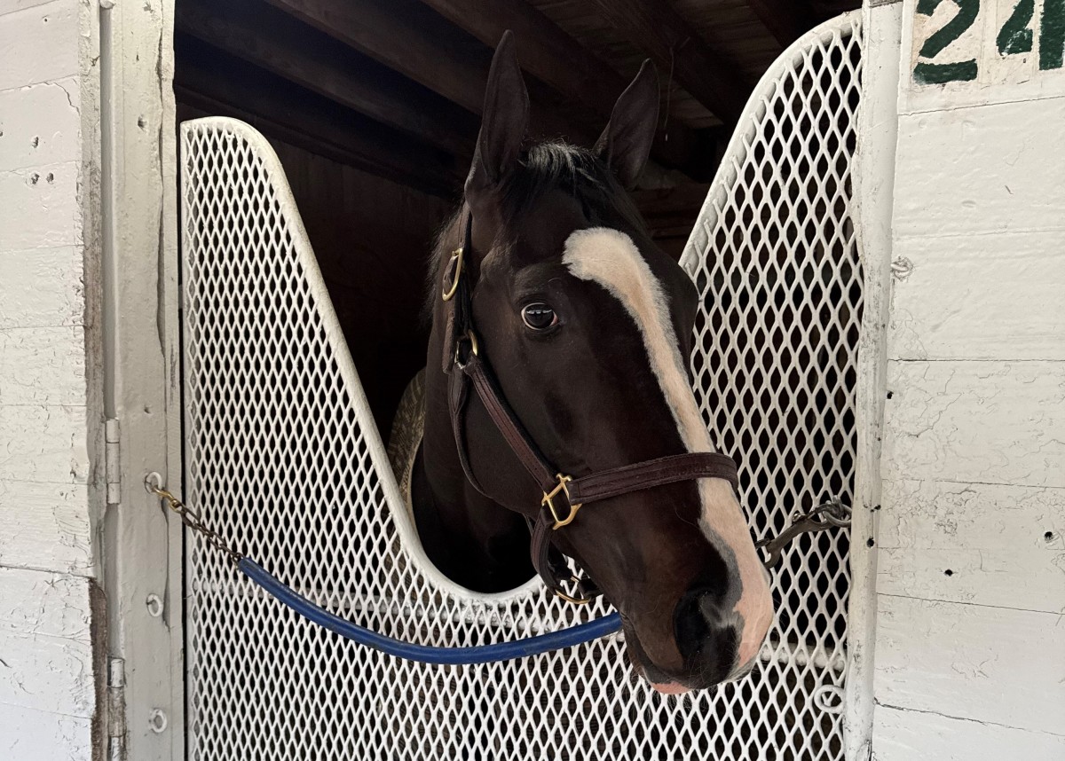 There Is More In Him': Tiztastic Arrives At Churchill To