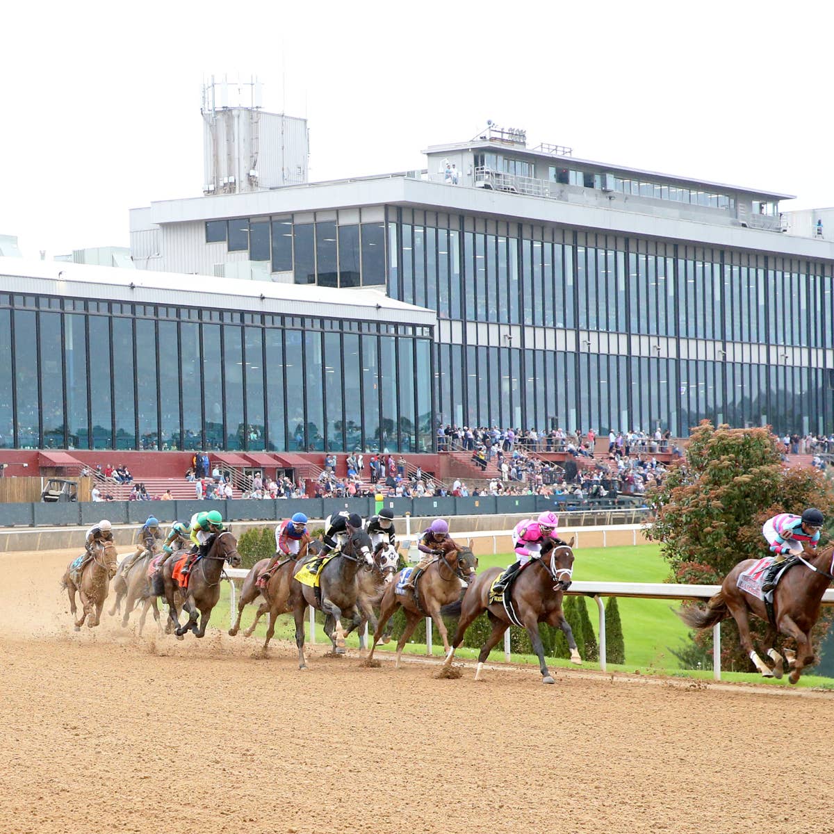Oaklawn Park Receives Record Number Of Stall Applications - Paulick