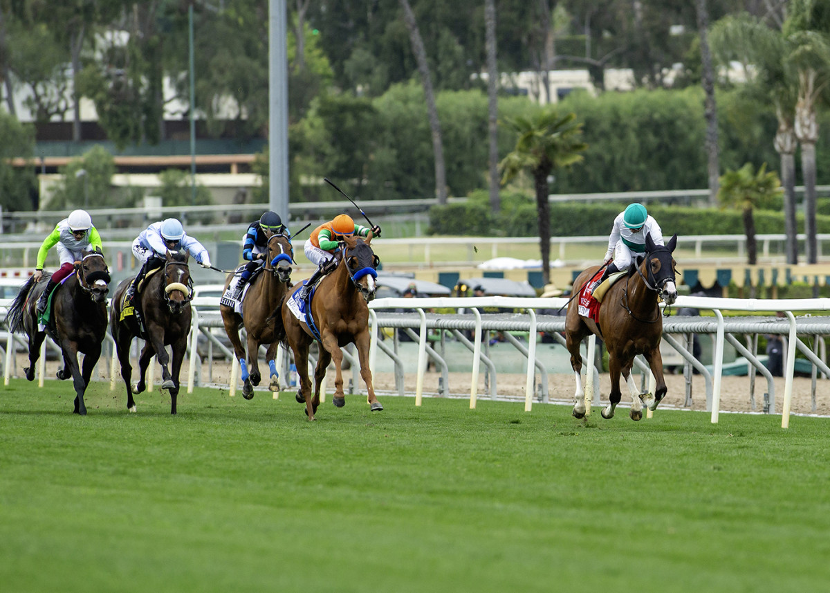 Equibase Analysis: Tirupati Going For Back-To-Back Wins In Royal ...