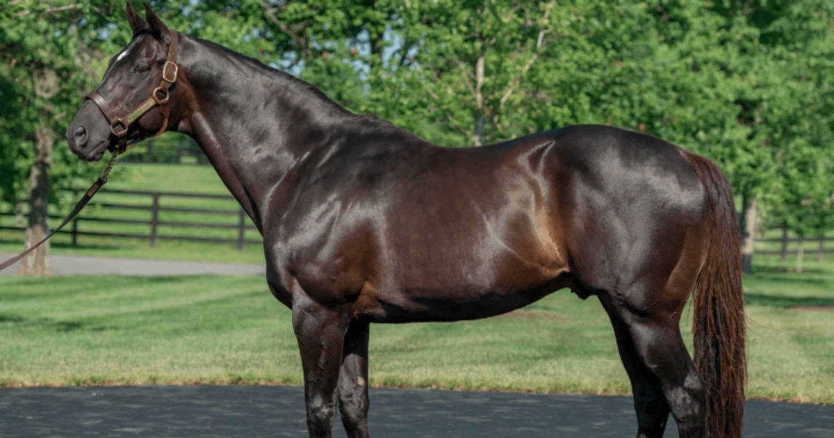 more-than-ready-conformation-