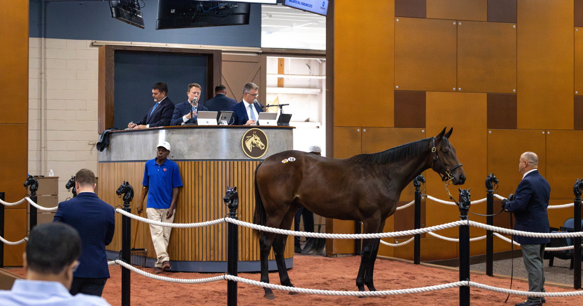 Maryland-Bred Nyquist Colt Leads The Way At 2025 Fasig-Tipton