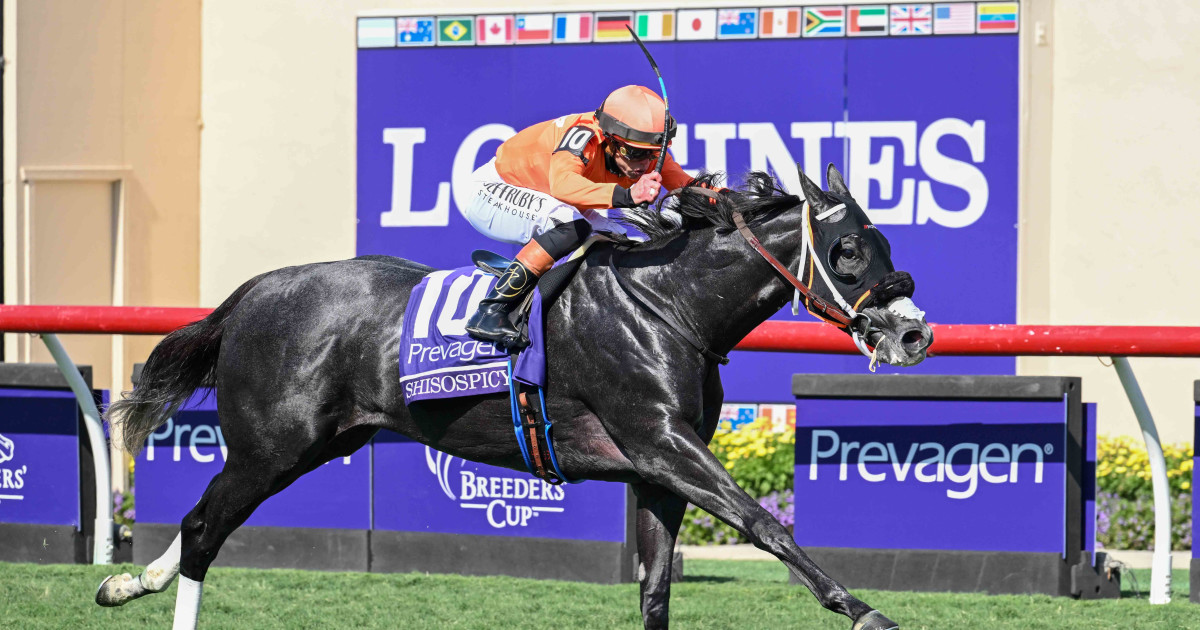 It's Part Of The Sport And The Business': Paths Of Breeders' Cup