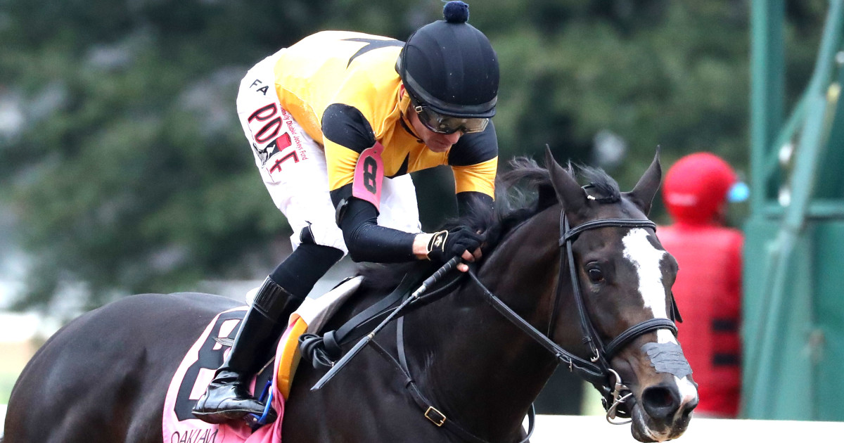 Counting Stars Doubles Up On Oaklawn Stakes Wins In Year's End ...