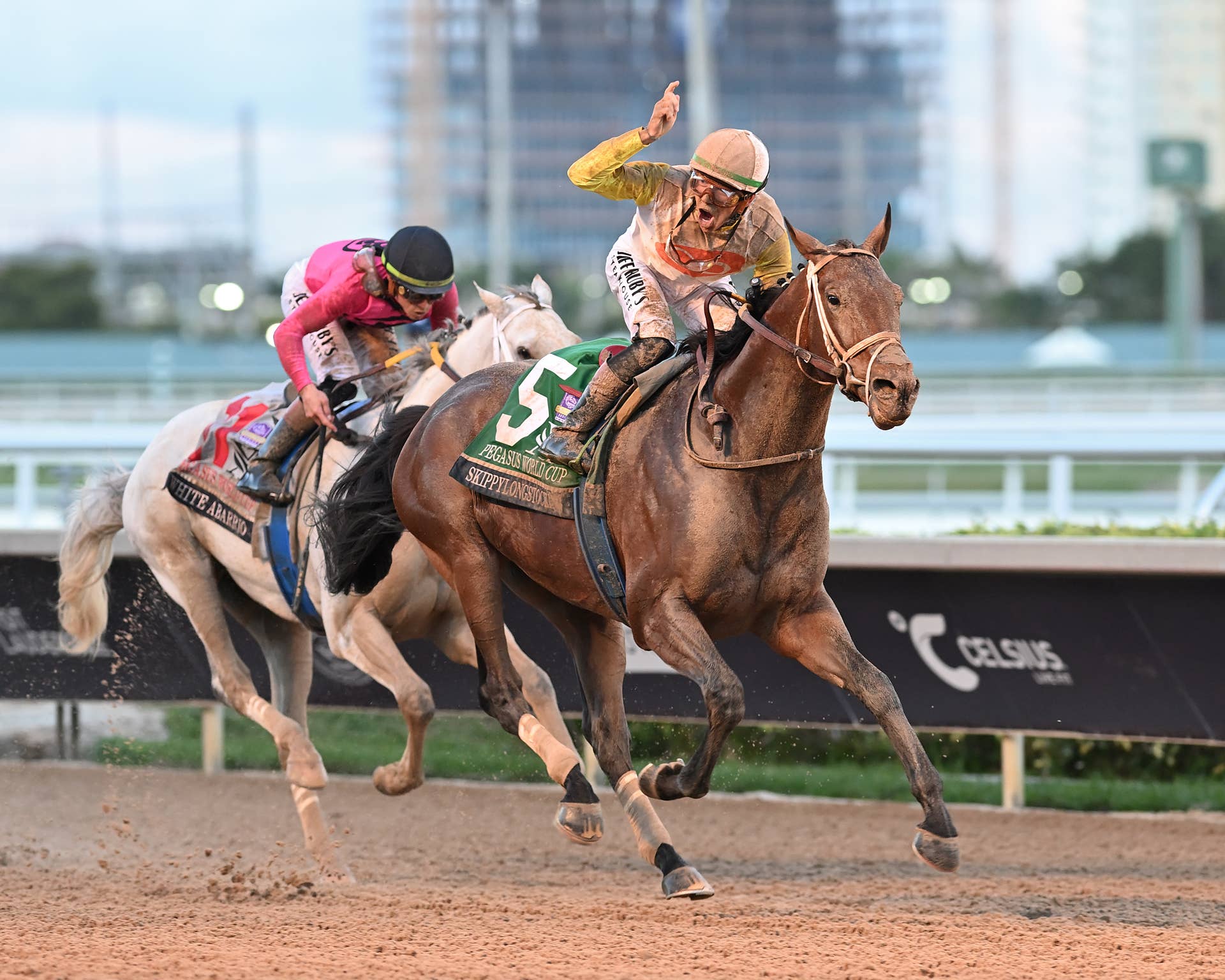 Pegasus Score Ranks Skippylongstocking Second In First 2026 NTRA Poll ...