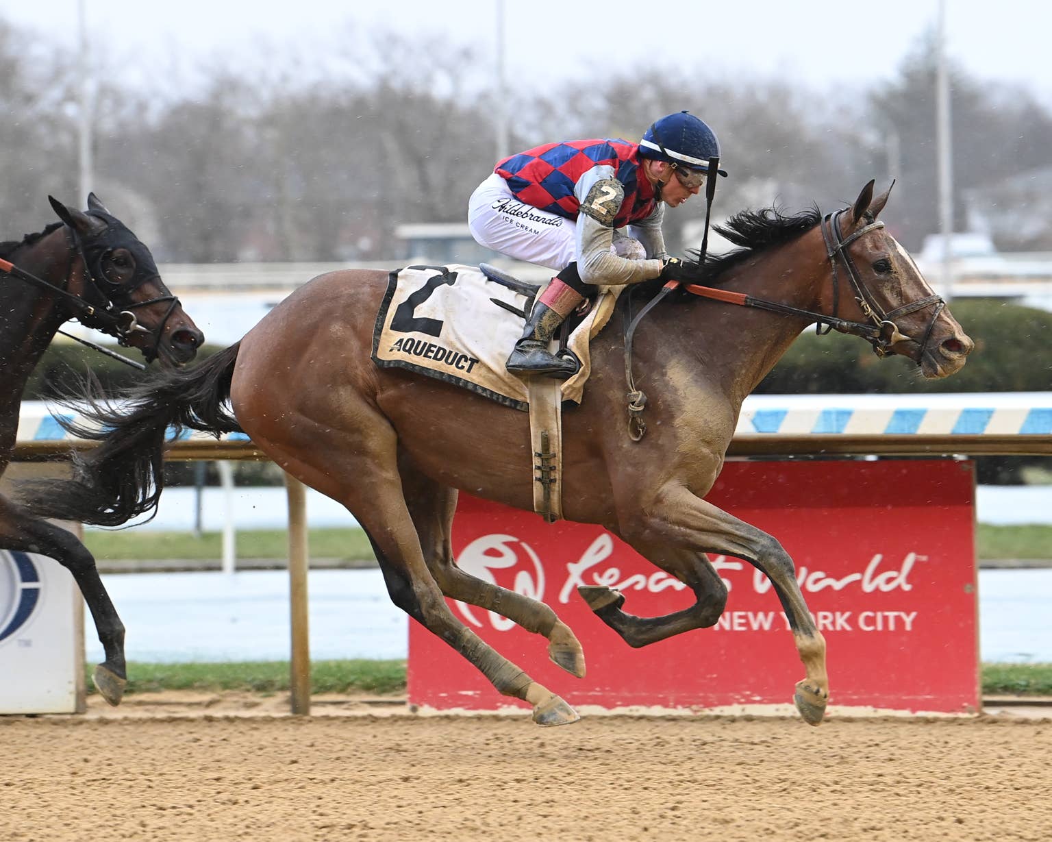 Always A Runner Two-For-Two; Chad Brown To Consider Kentucky Oaks