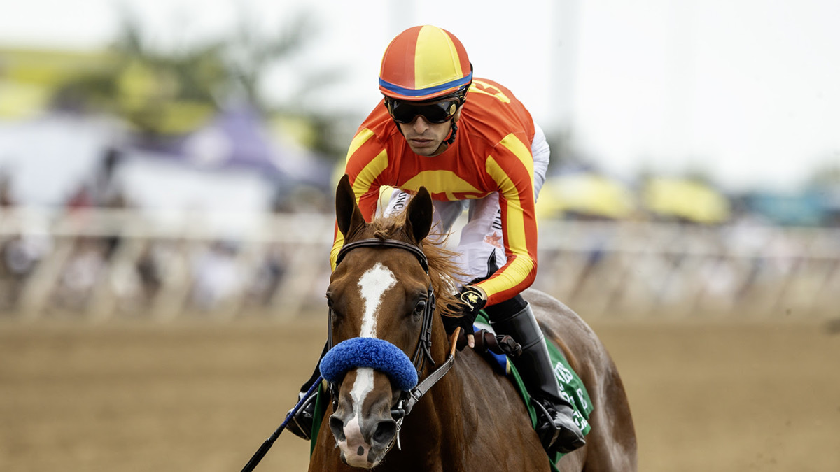 Desert Gate Draws Rail In ‘Tough’ Hot Springs Stakes