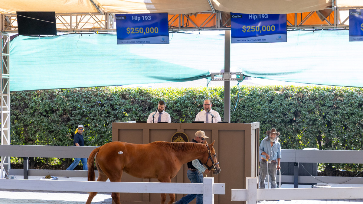 Corniche Filly Tops 2025 Fasig-Tipton California Fall Yearlings