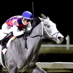 Road To The Roses Presented By Sky Racing World: 'Massive' Great White Takes On Blue Grass