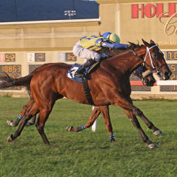 Pennsylvania Leaderboard: Warrior's Reward Syndicate Topped Keystone State Breeders In 2025