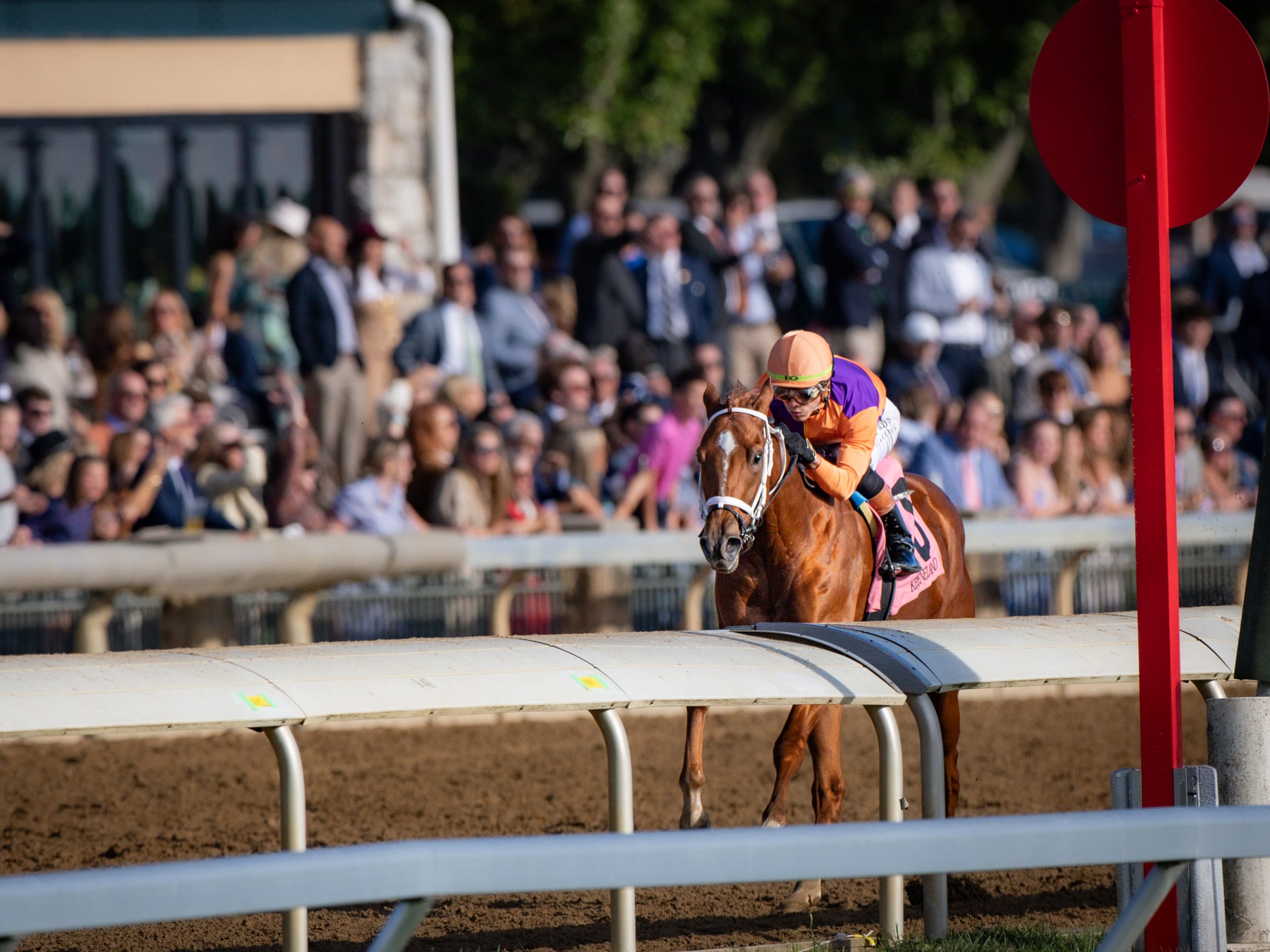 Paulick Report | Latest news and commentary from the horse racing and ...