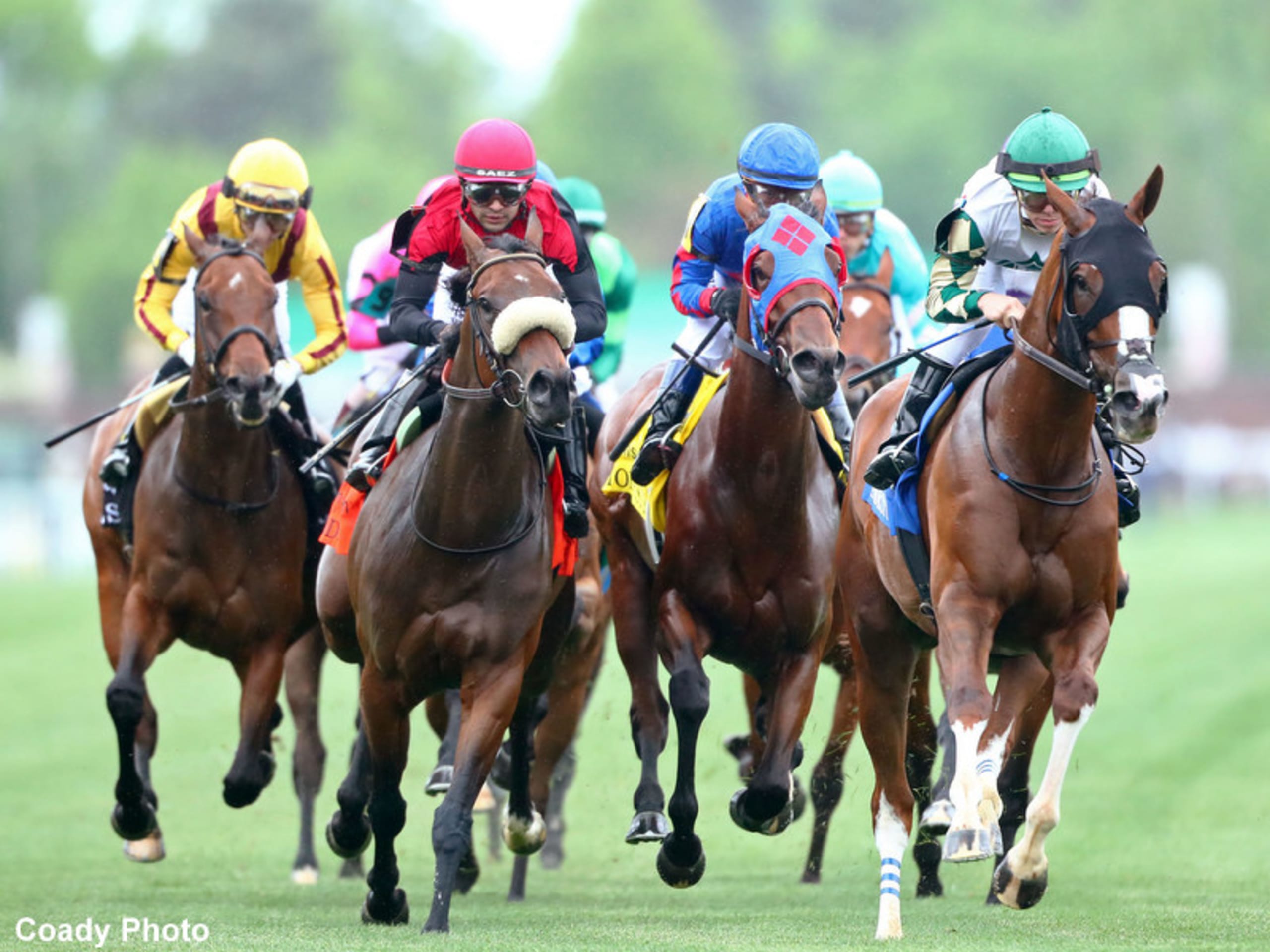 Paulick Report | Latest news and commentary from the horse racing and ...
