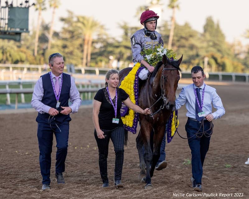 Breeders' Cup Winner Unquestionable To Stand At Ireland's Rathbarry ...