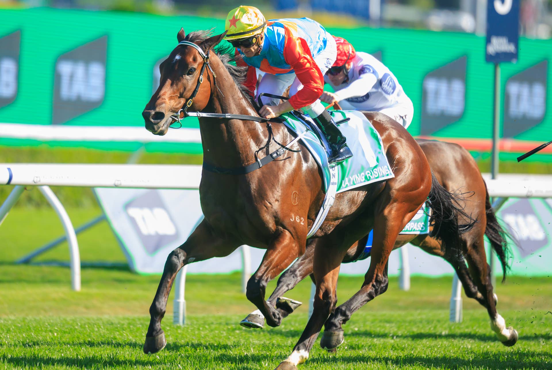 Kayin Rising Hong Kong's Brilliant Ka Ying Rising Conquers Australia's Everest ...