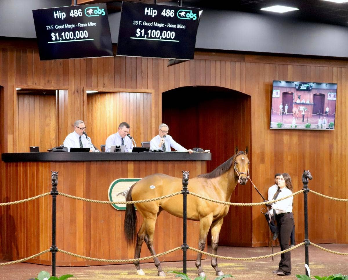 Daughter Of Good Magic Sells For $1.1 Million To Lead Day 2 Of OBS ...