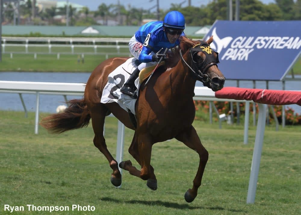 Jockey Mario Pino makes his first start of 2020 a winning one with Amanzi Yimpilo at Gulfstream