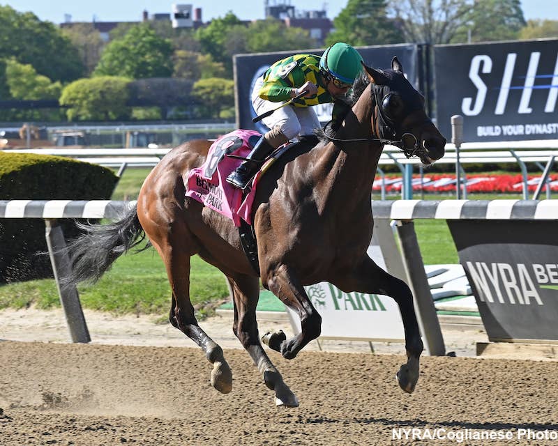 Repo Racetrack Repo Rocks Returns To Winning Ways For Ness In Grade 3 Westchester ...