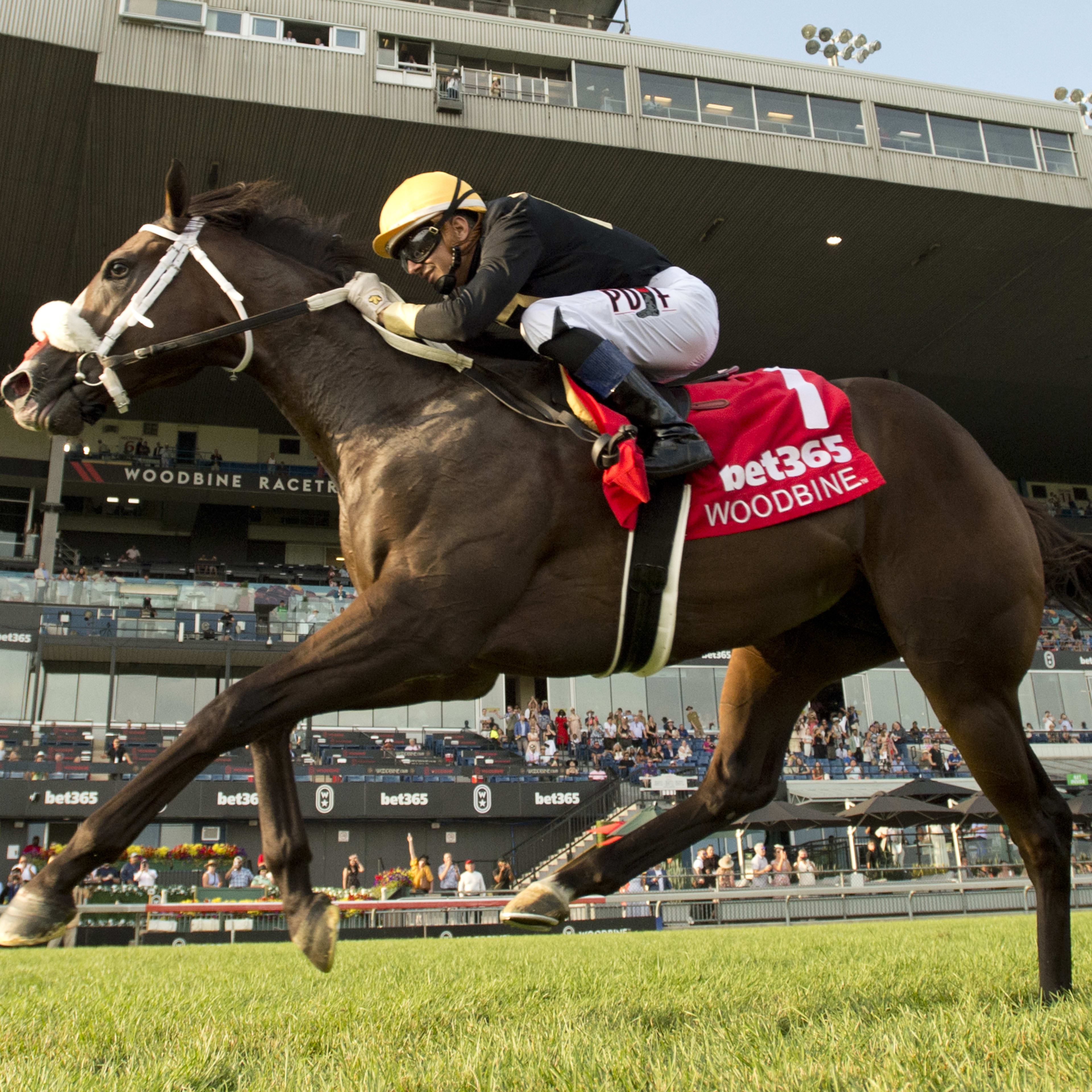 Gentildonna Surges to Victory in Dubai Sheema Classic - Paulick Report