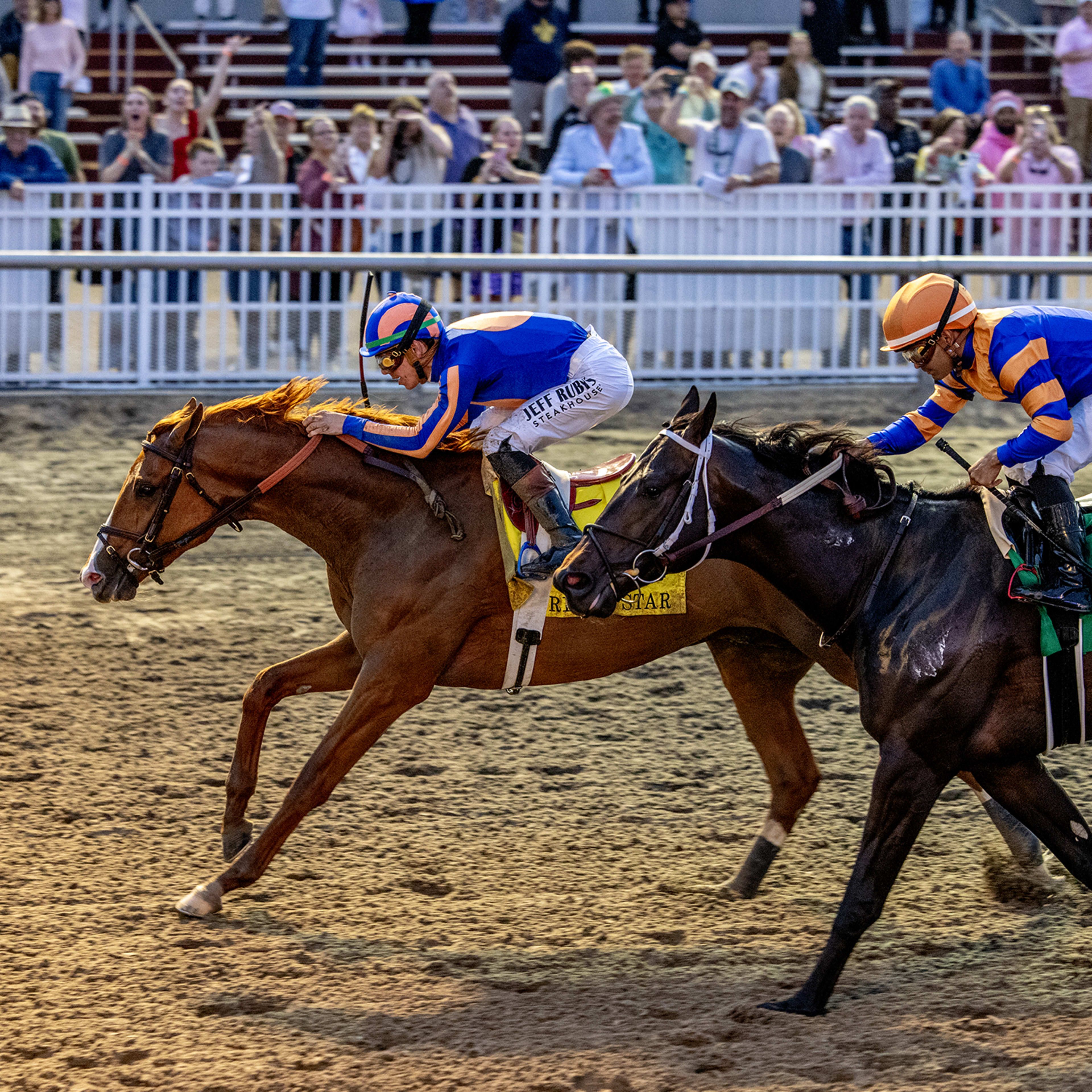 Corniche Filly Tops 2025 Fasig-Tipton California Fall Yearlings