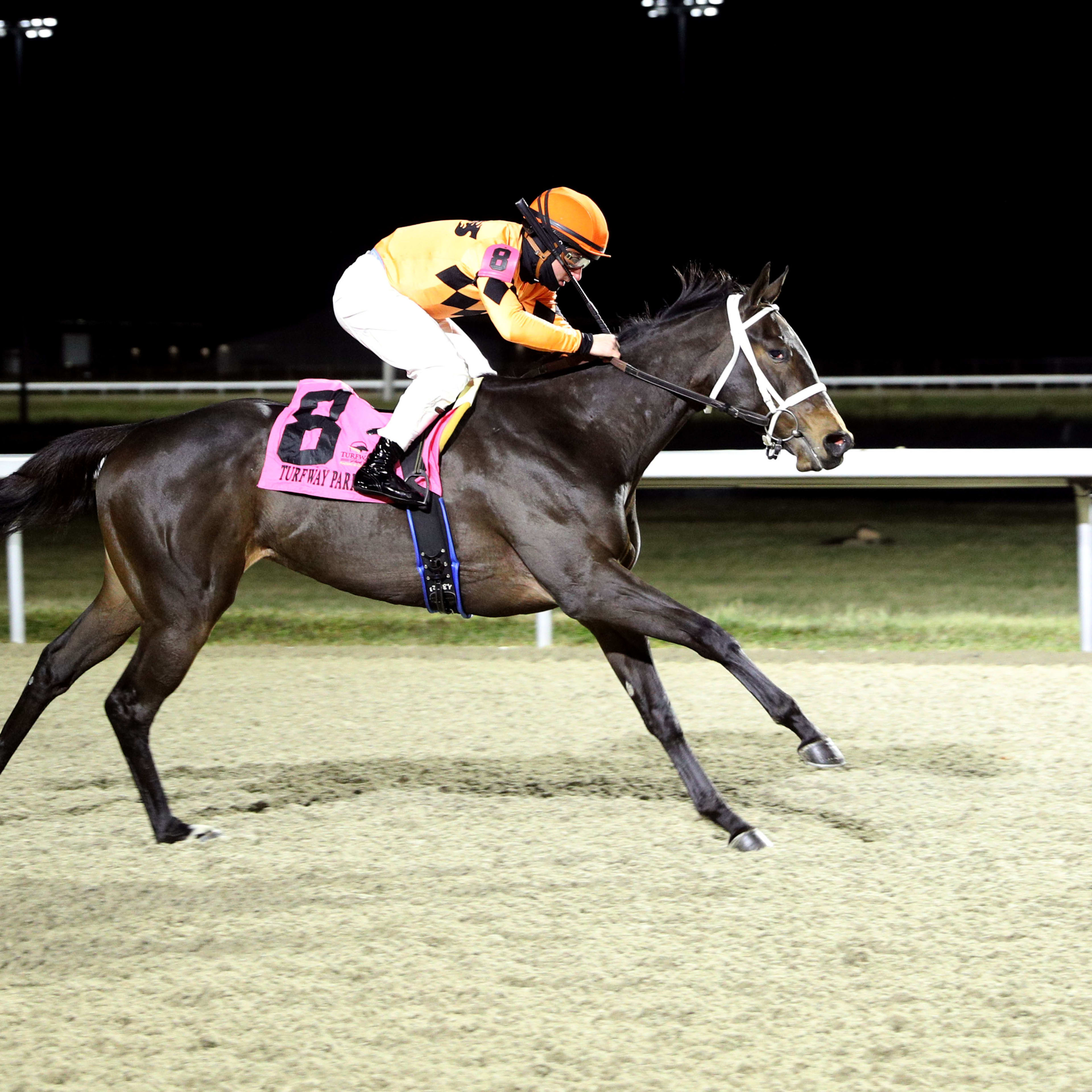 Gentildonna Surges to Victory in Dubai Sheema Classic - Paulick Report