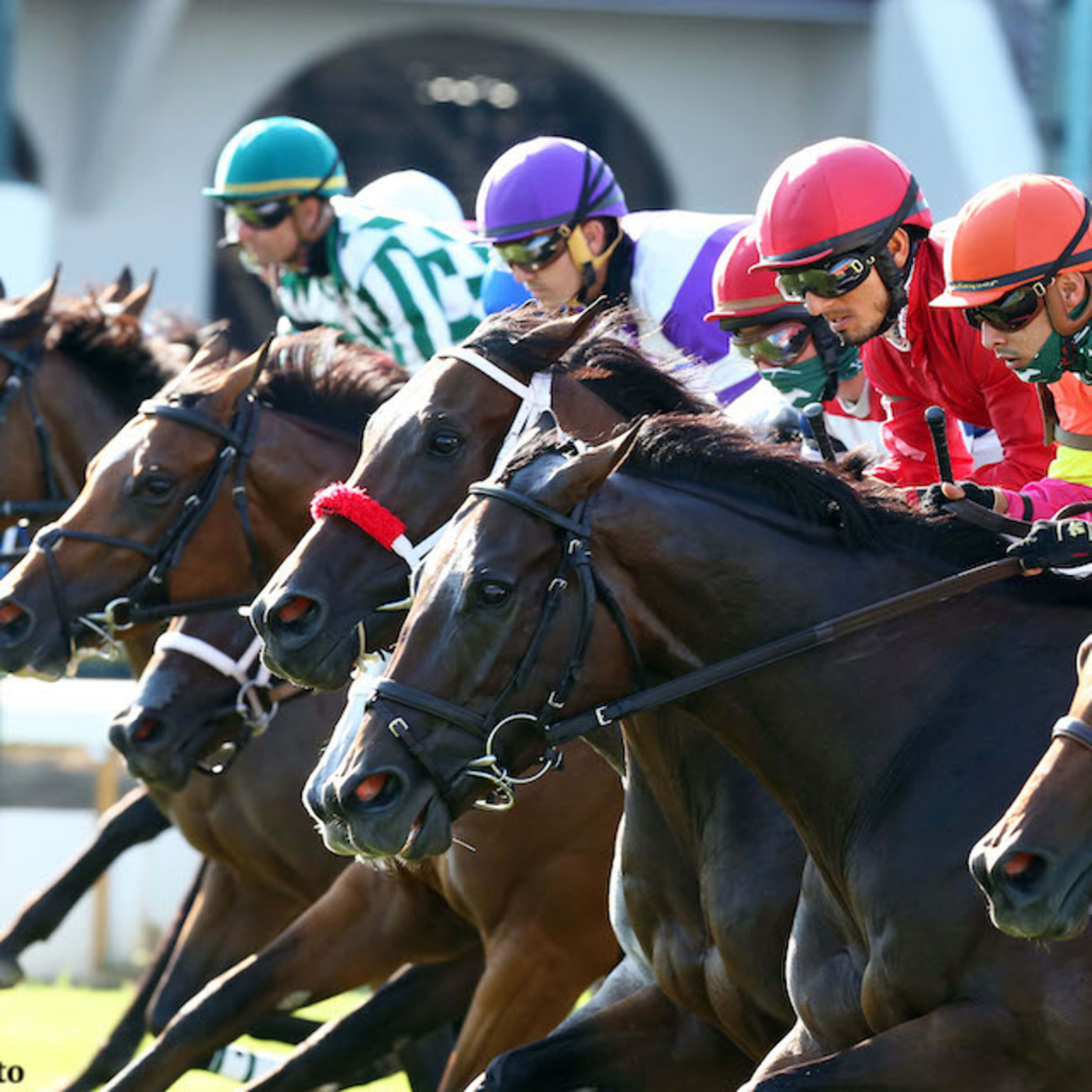 Gentildonna Surges to Victory in Dubai Sheema Classic - Paulick Report