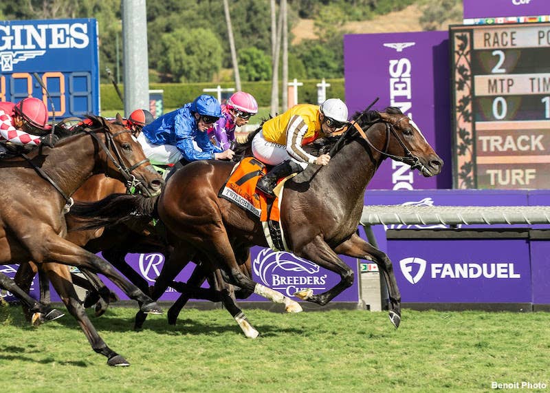 OBS March Sale Looks To Build Off Market Strength - Paulick Report