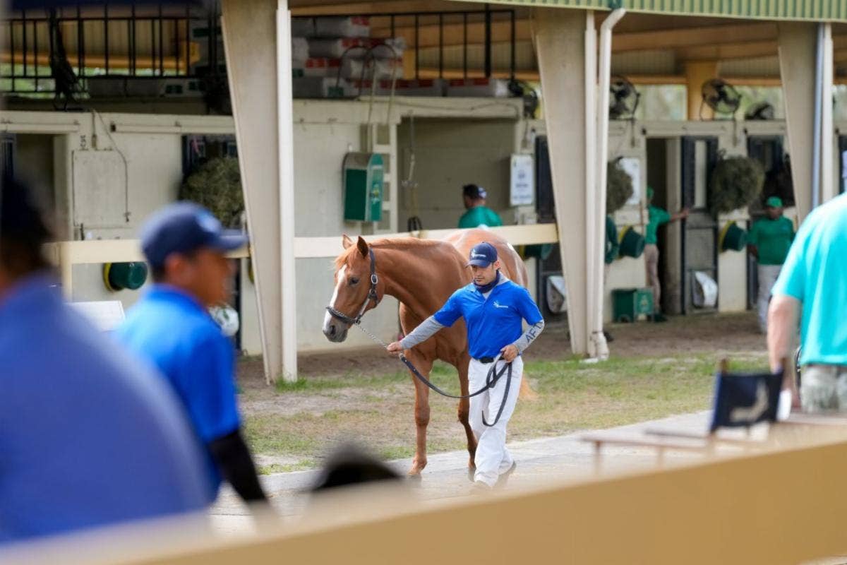 Keeping Pace: A March Full Of Metaphors About Horse Racing's Future ...
