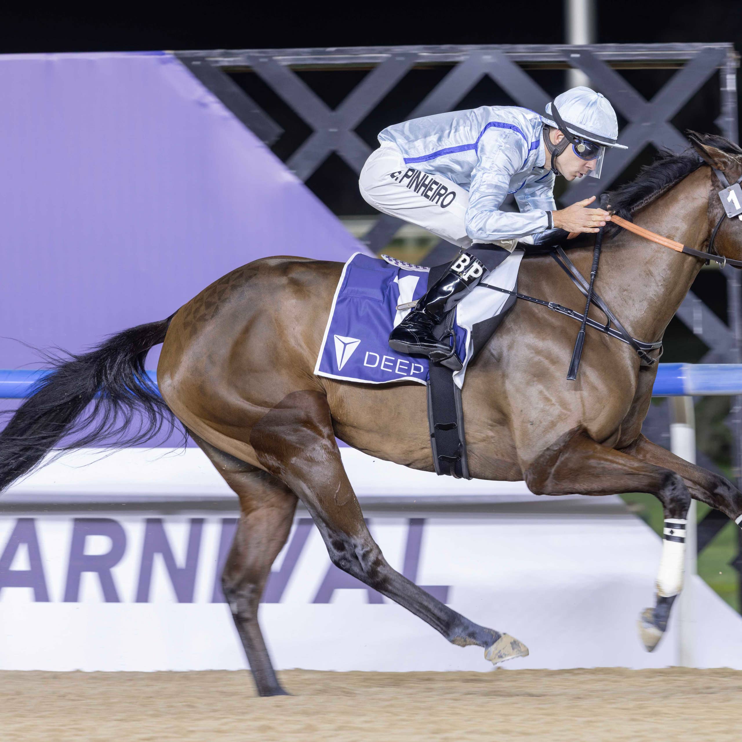 Longtime East Coast Trainer John Scanlan Dies At 68 - Paulick Report