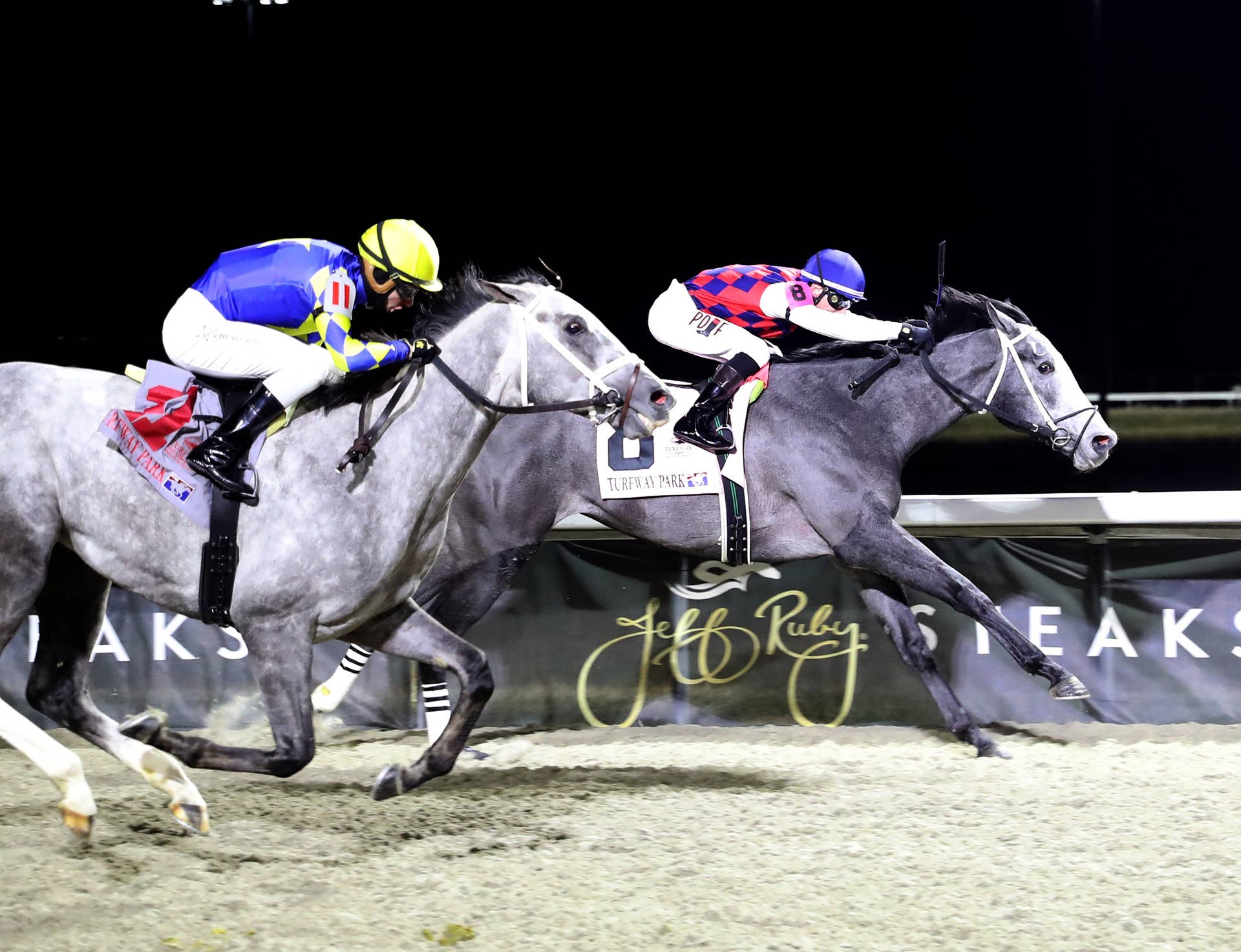 Chad Brown's Remsen Winner Paladin 'A New, Fresh Horse On The Derby ...