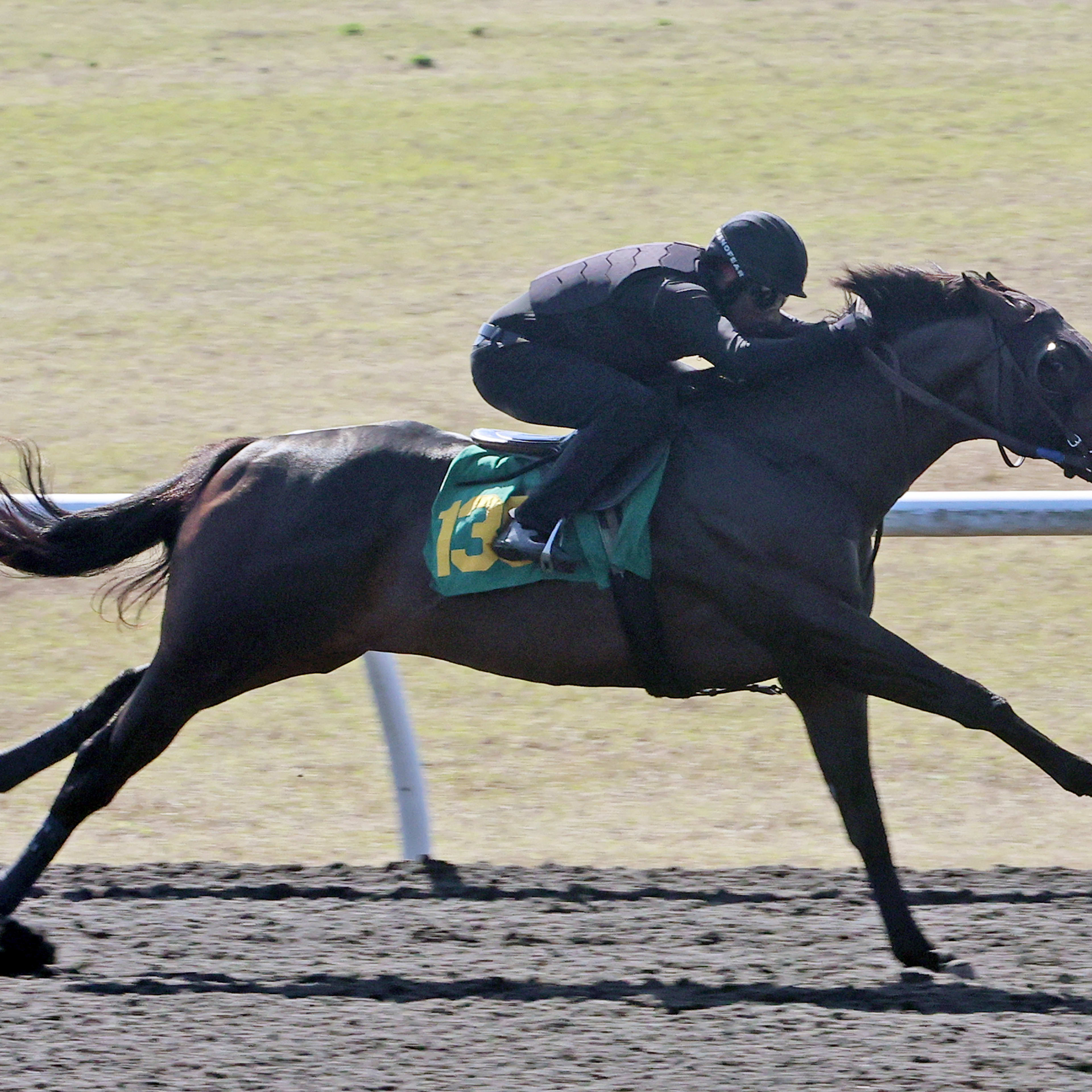 Champion Nitrogen Easy Winner Of Bayakoa In First Start Of Year ...