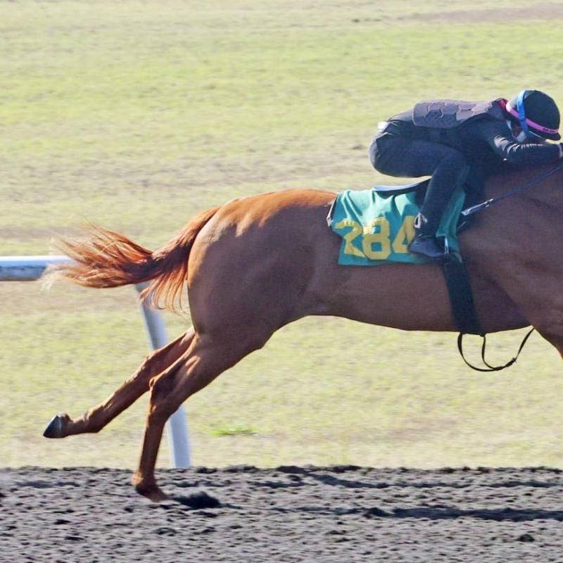 Drain The Clock Filly Equals Track Record During Day Two Of OBS March ...