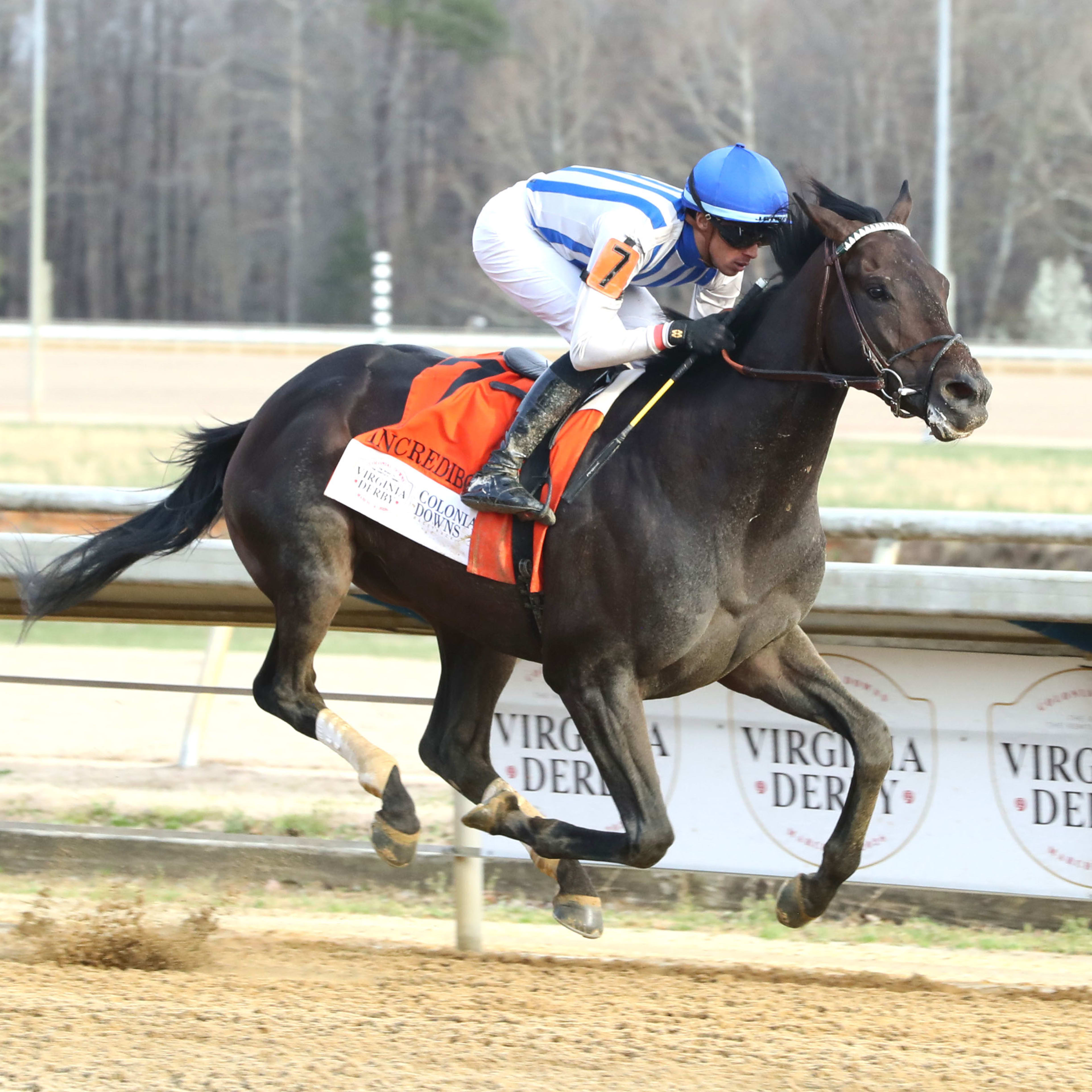 'My Filly Stepped Up': Fondly Goes From Debut Winner To Virginia Oaks ...