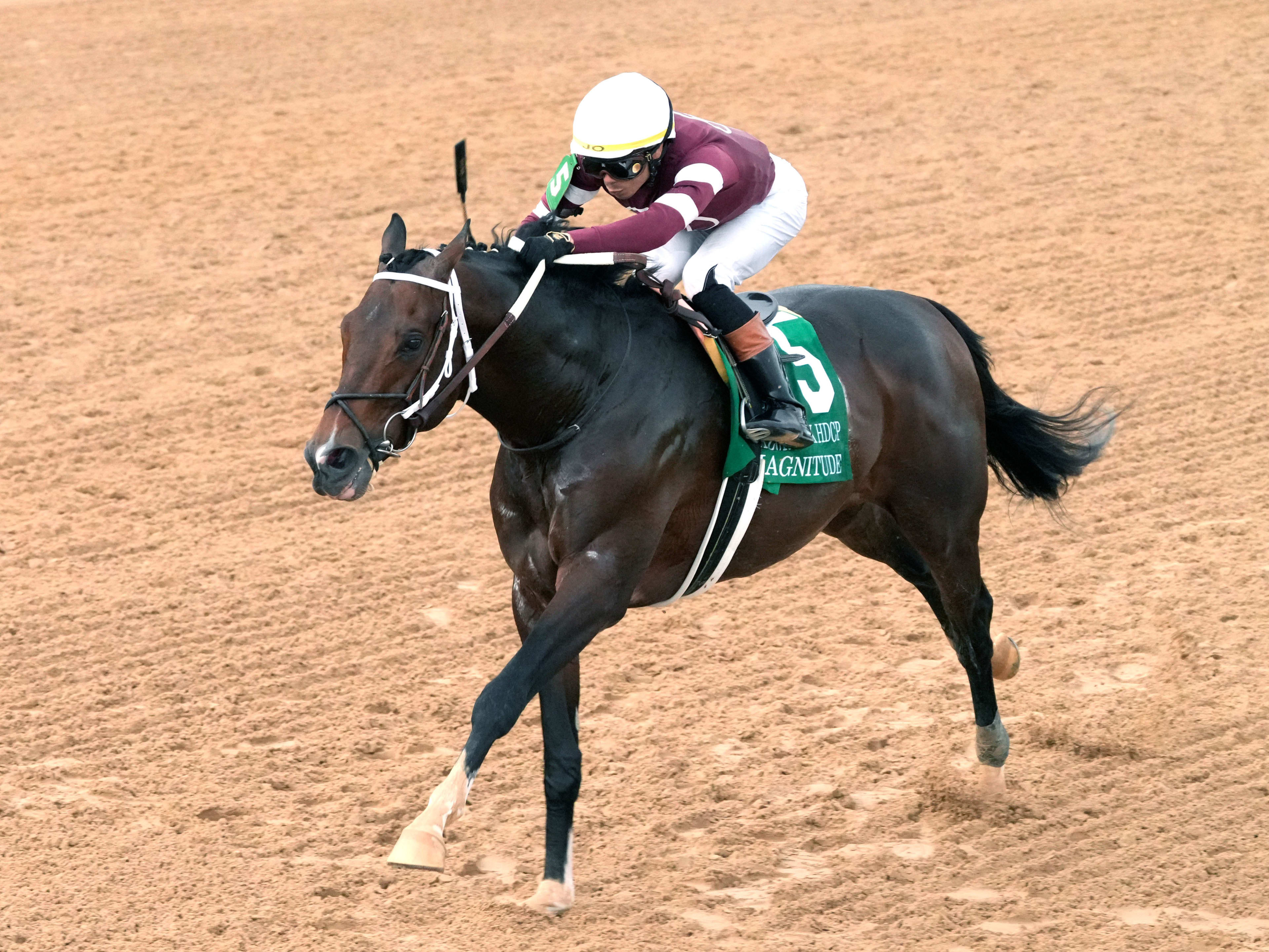 News - Paulick Report