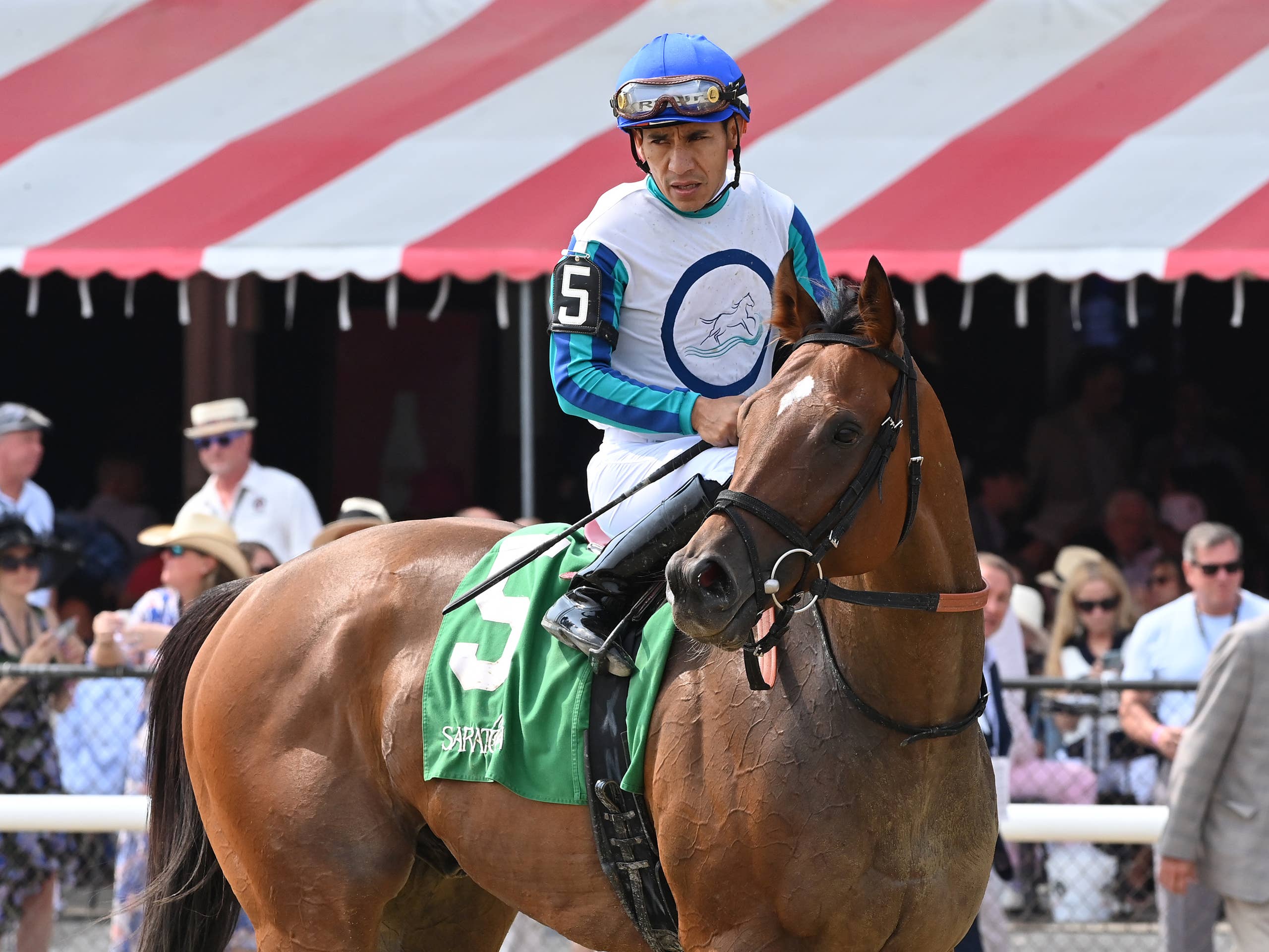 Forever Young - Paulick Report