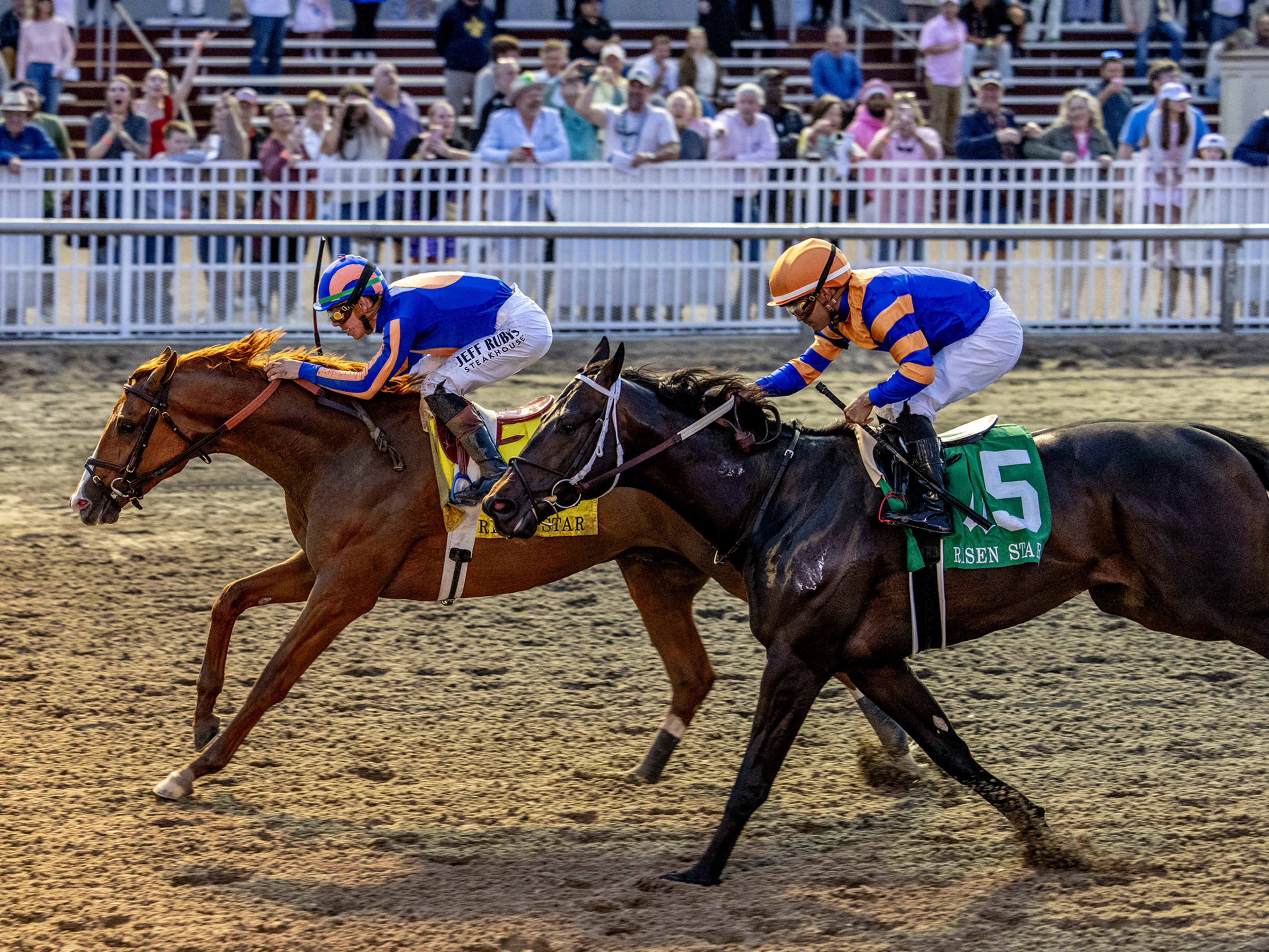 Forever Young - Paulick Report