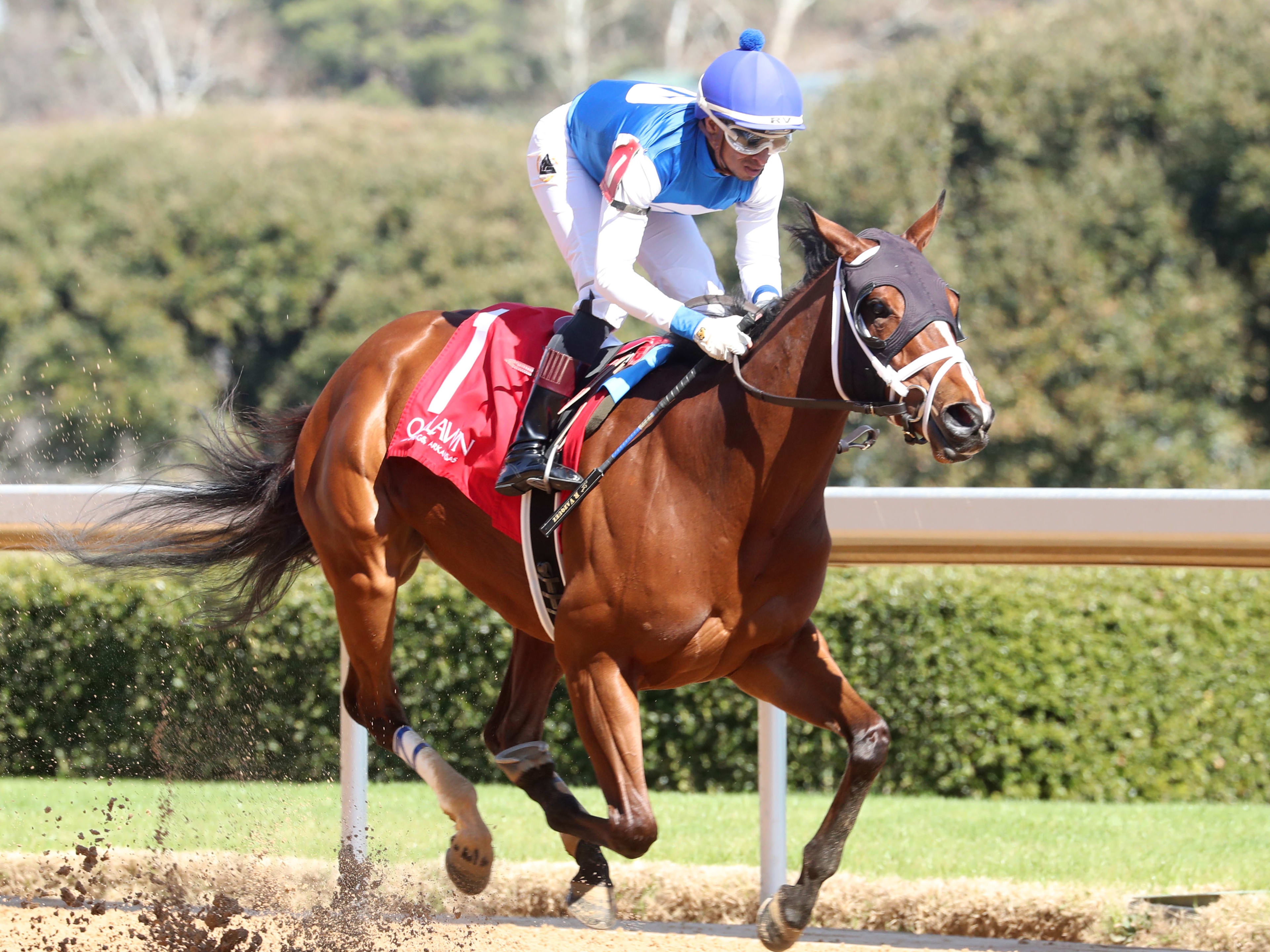 Dallas Stewart Runner You’re In Heaven Makes Stakes Debut In Purple ...