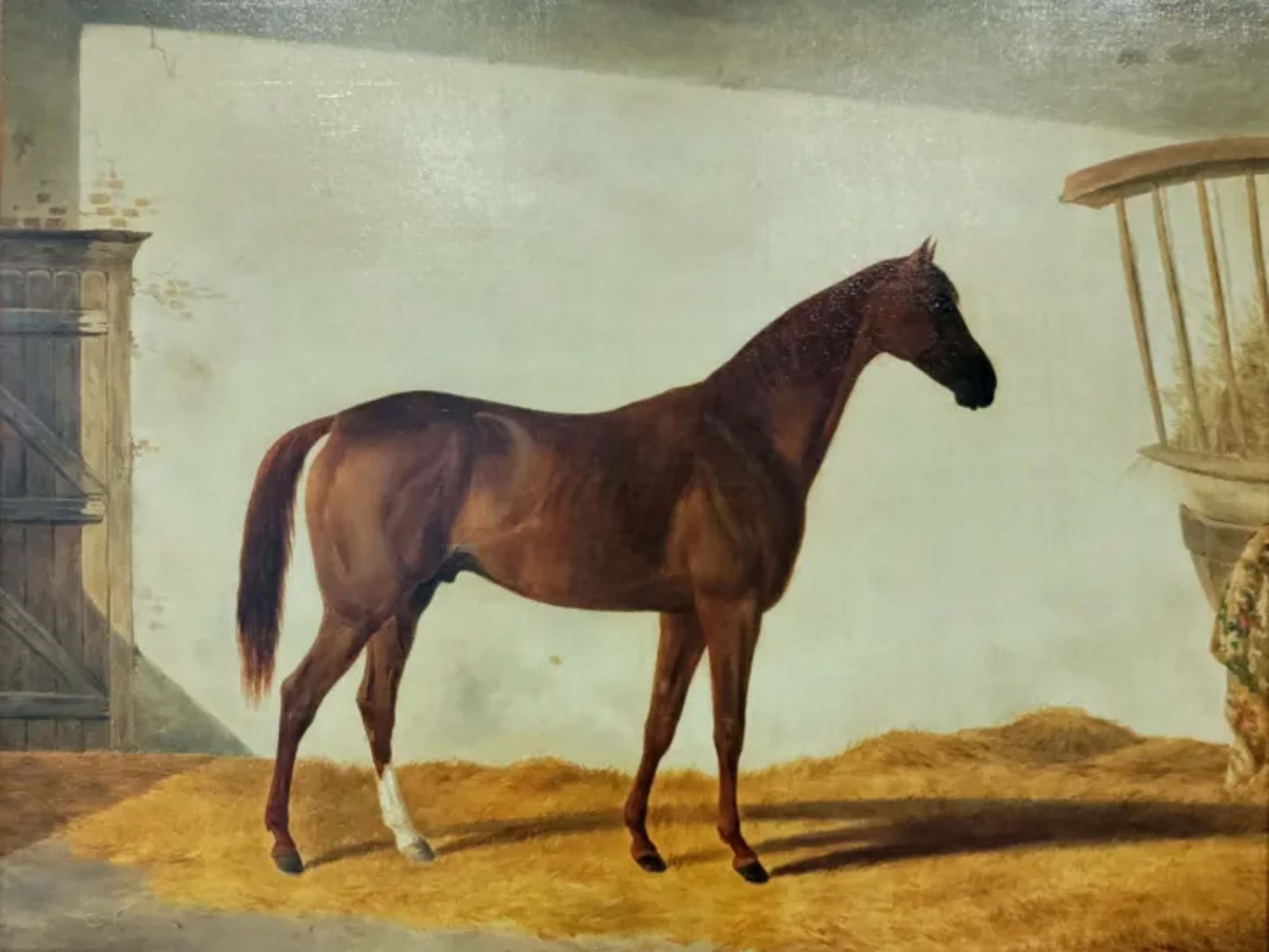 Lest We Forget: Lecomte Was The 'Slayer Of Lexington' - Paulick Report