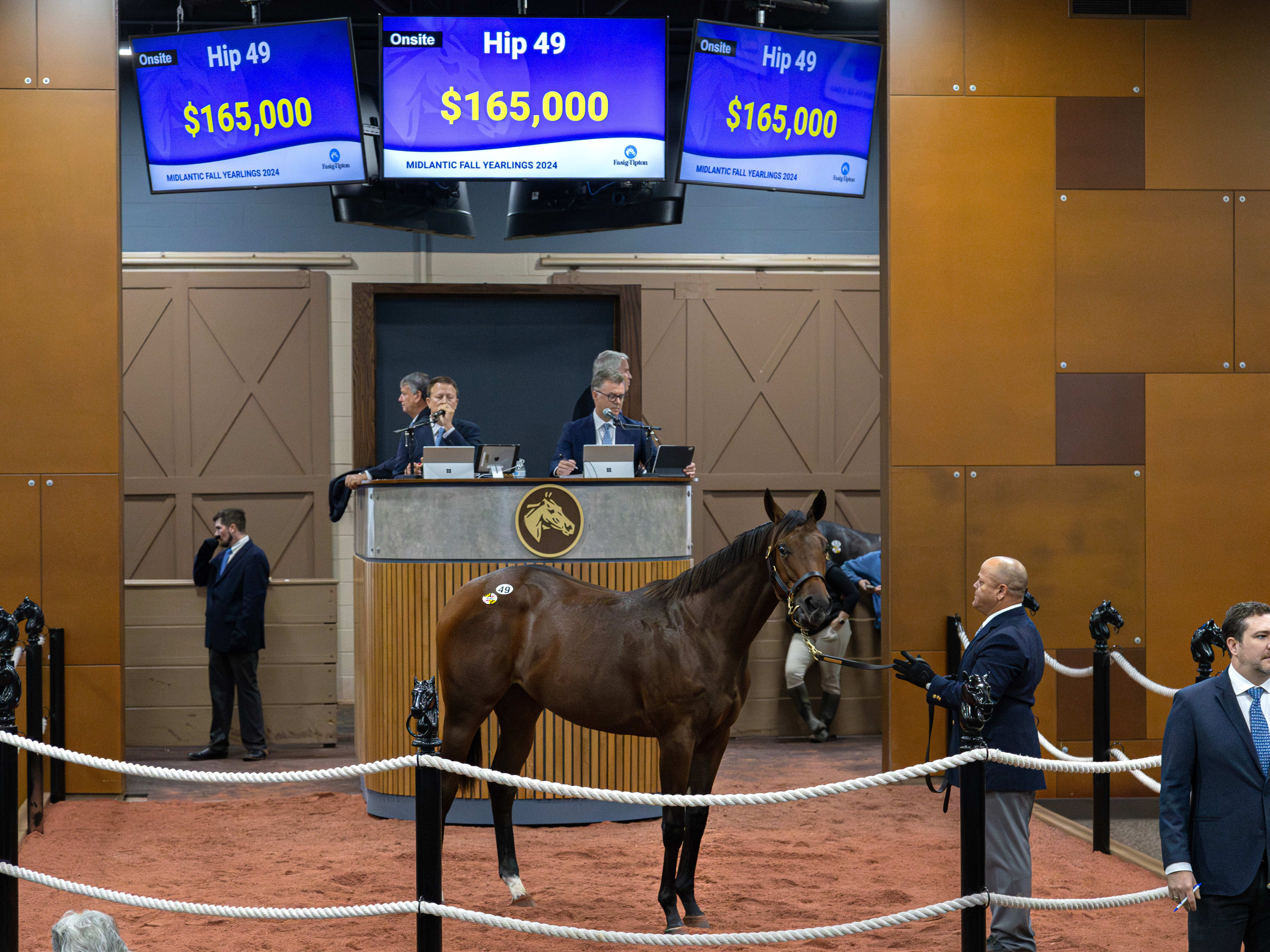 Fasig-Tipton's 2025 Midlantic Fall Yearlings Sale Catalog Now