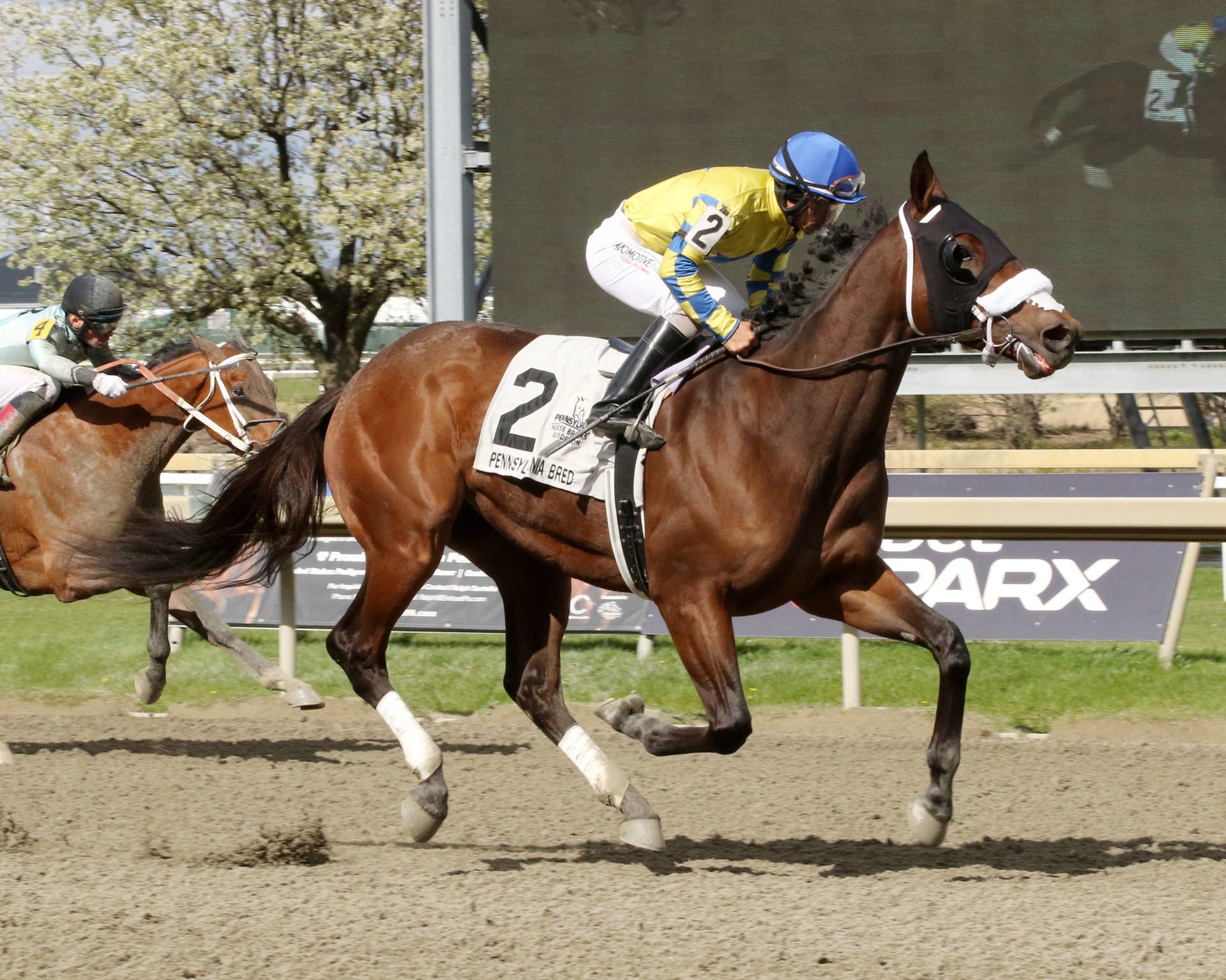 Pennsylvania Leaderboard: Son Of Thor Strikes The Top Of Incentive ...