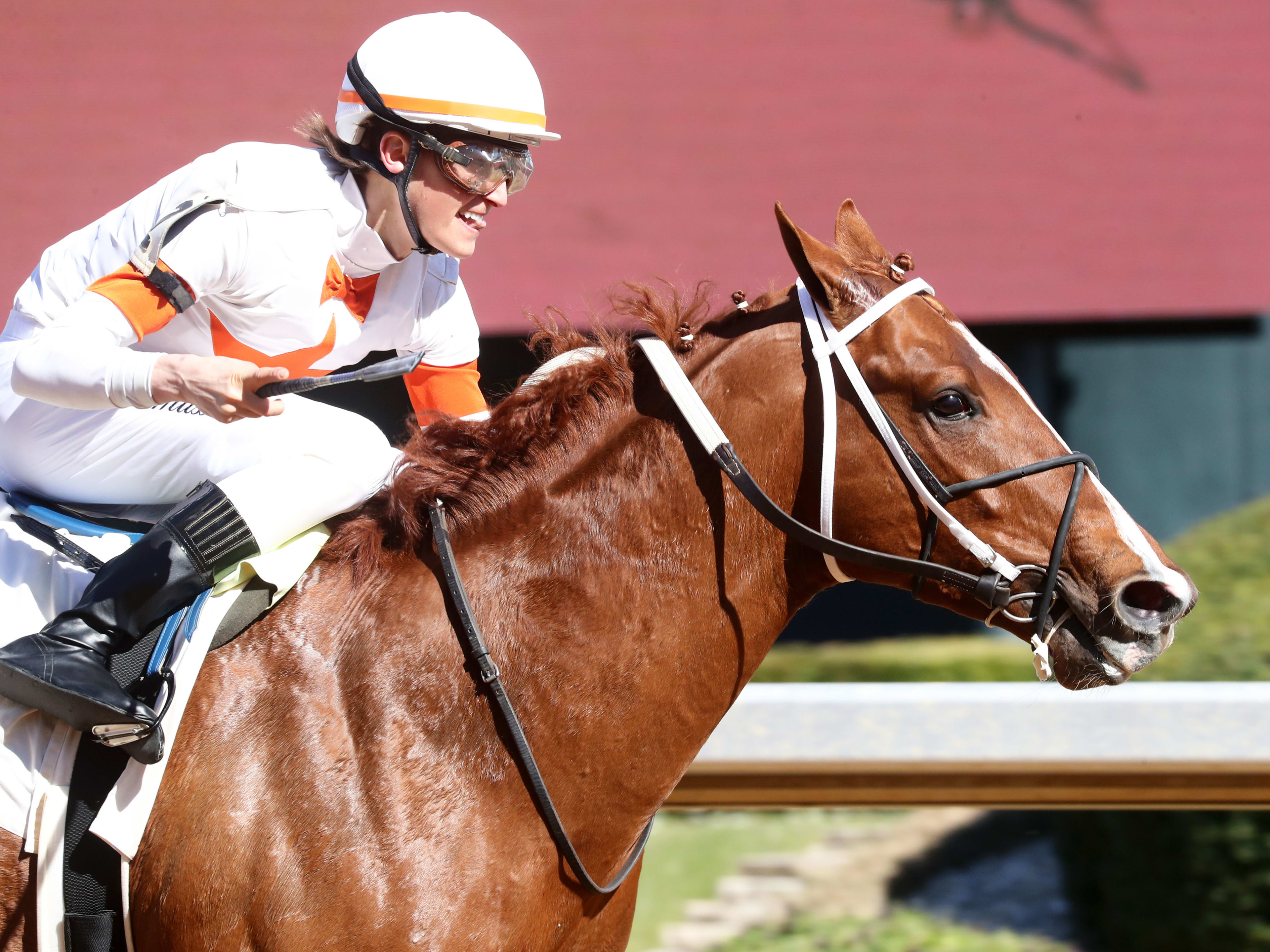 'He Was Flying': Whitmore Stakes Morning-Line Favorite Booth Comes Off ...