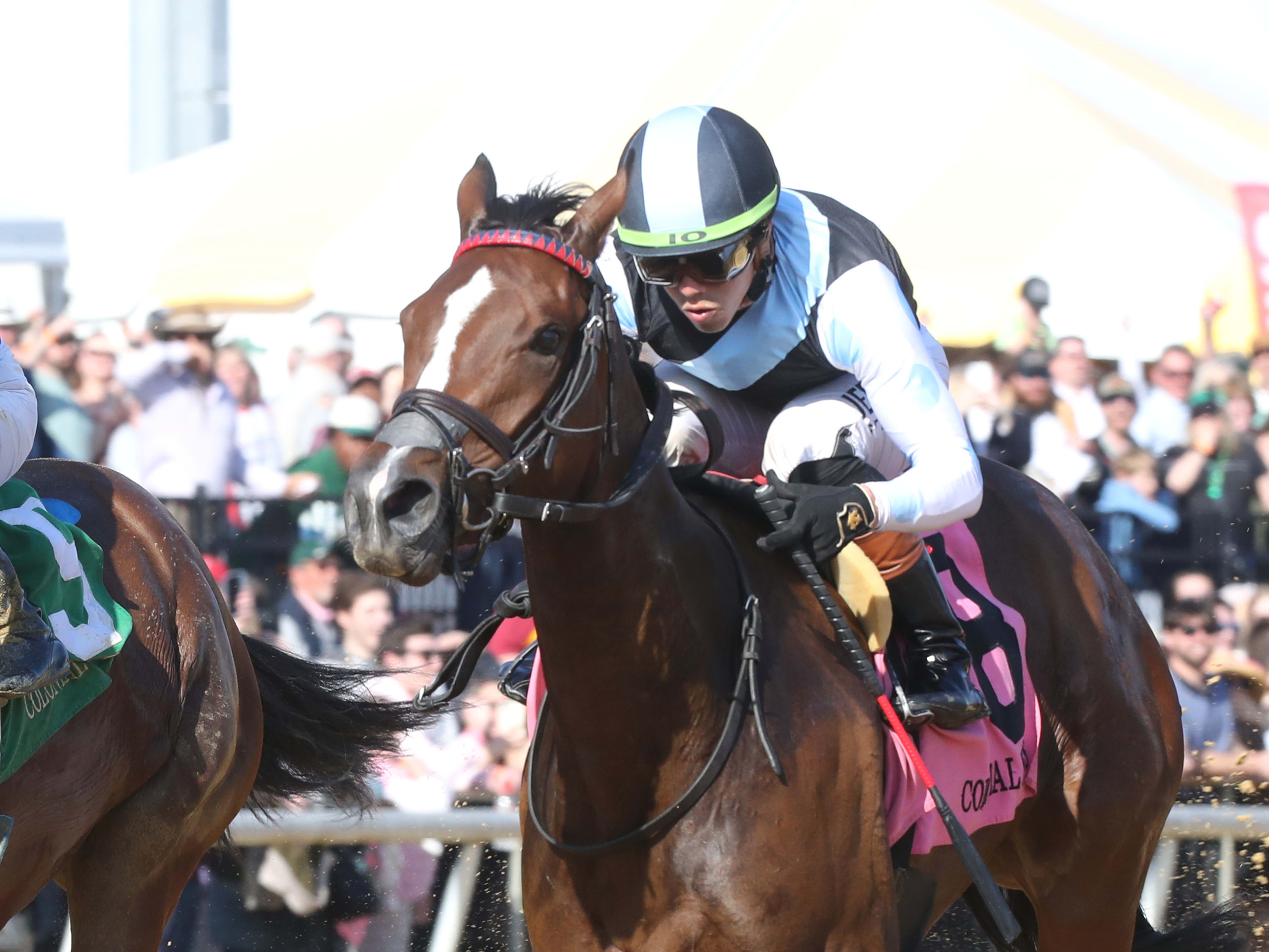 'My Filly Stepped Up': Fondly Goes From Debut Winner To Virginia Oaks ...