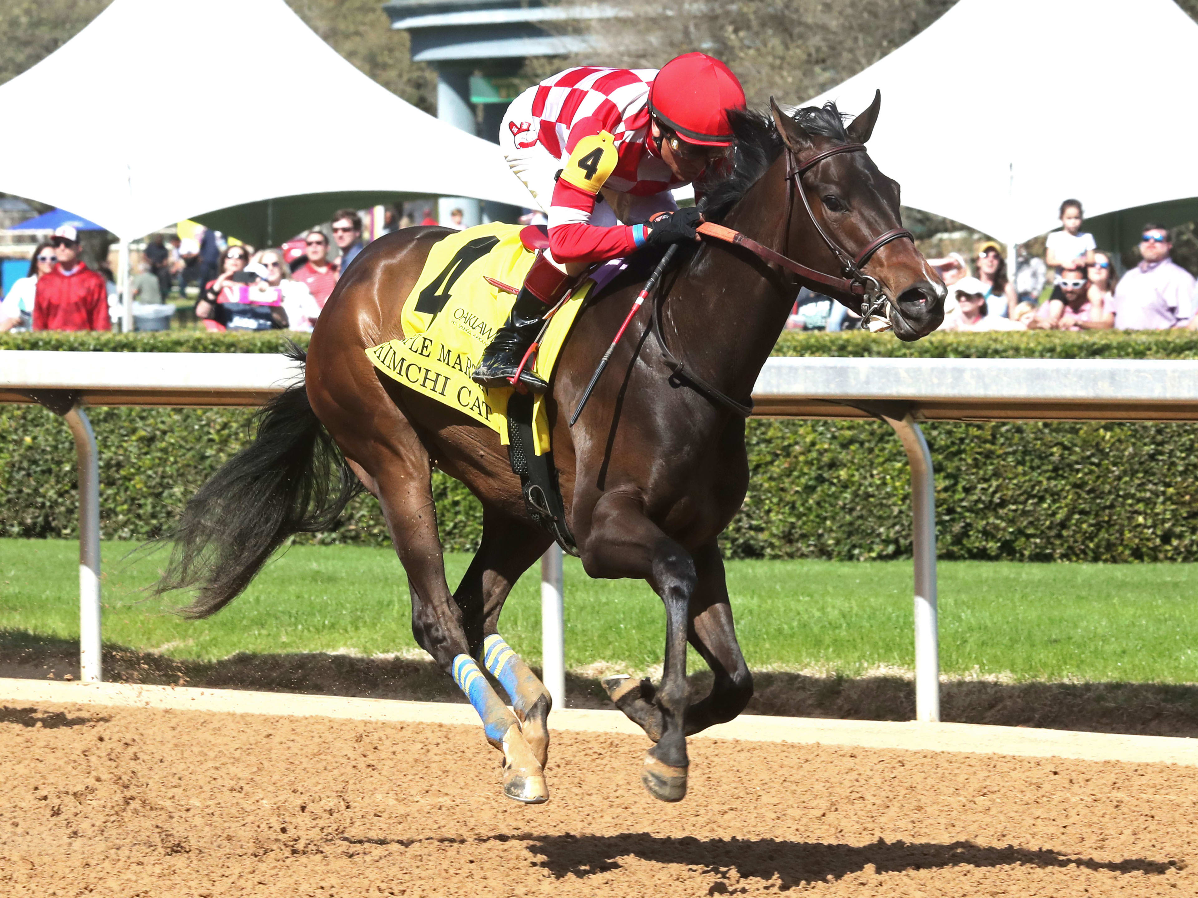 Kimchi Cat Controls Pace, Captures Oaklawn's Purple Martin In 2025 ...