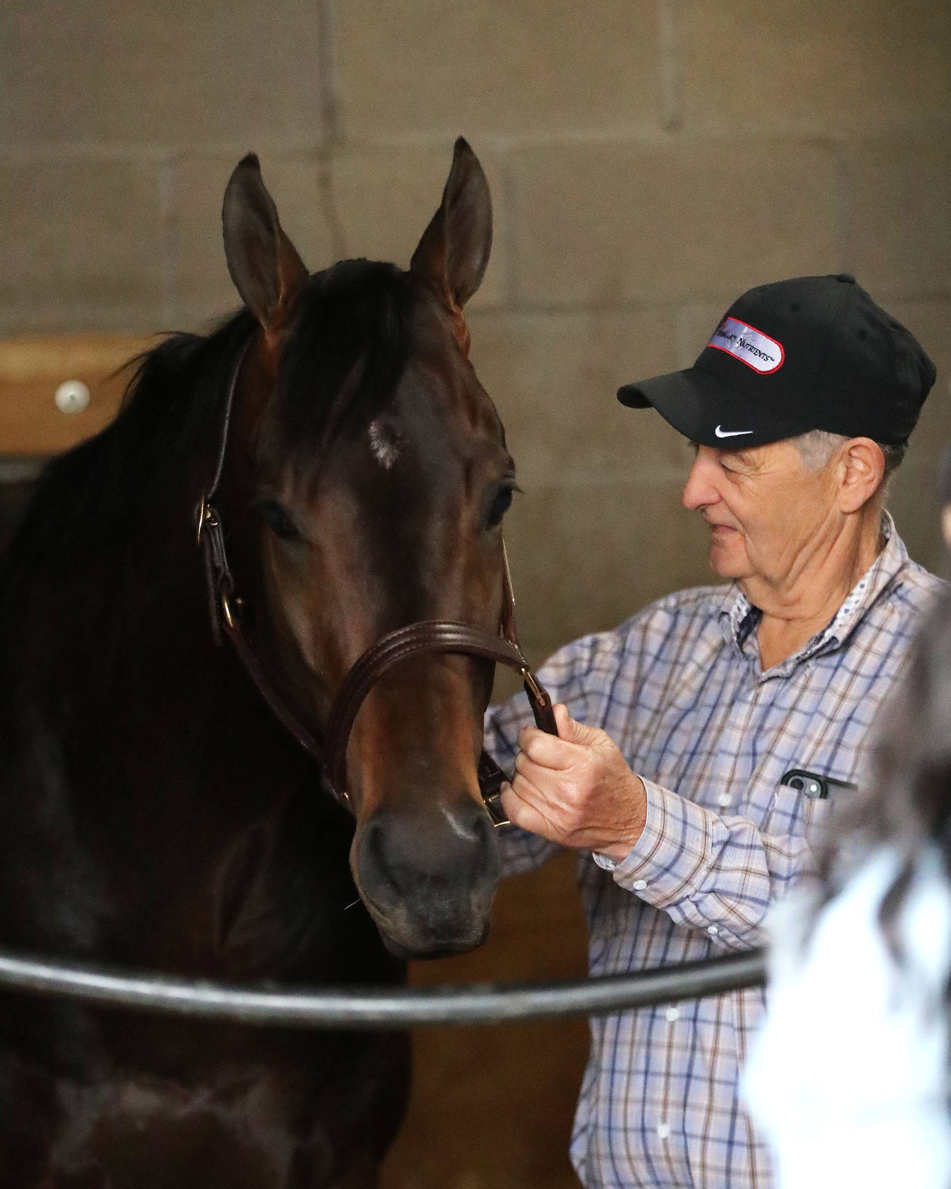 Coal Battle - Paulick Report