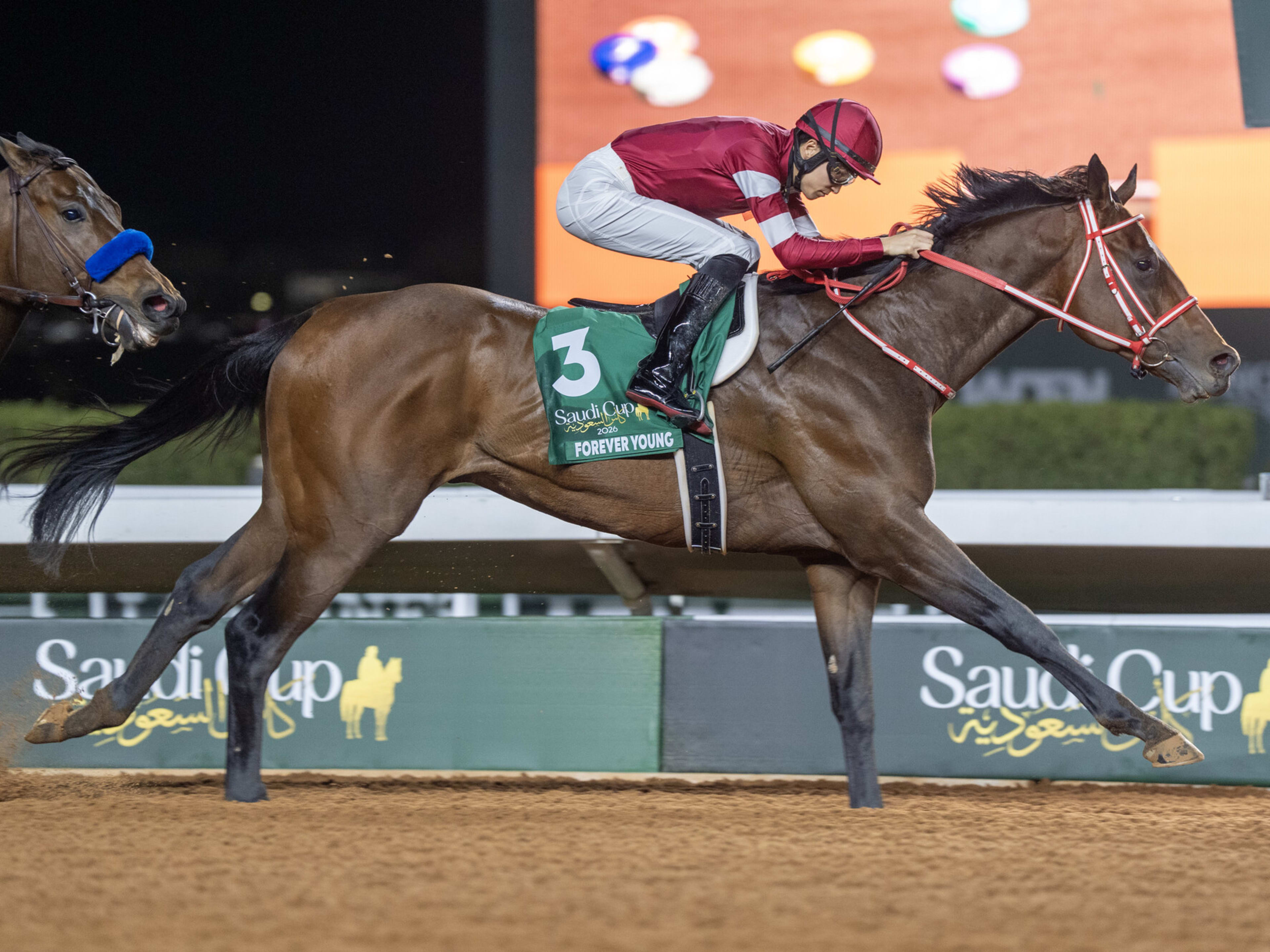 Forever Young - Paulick Report