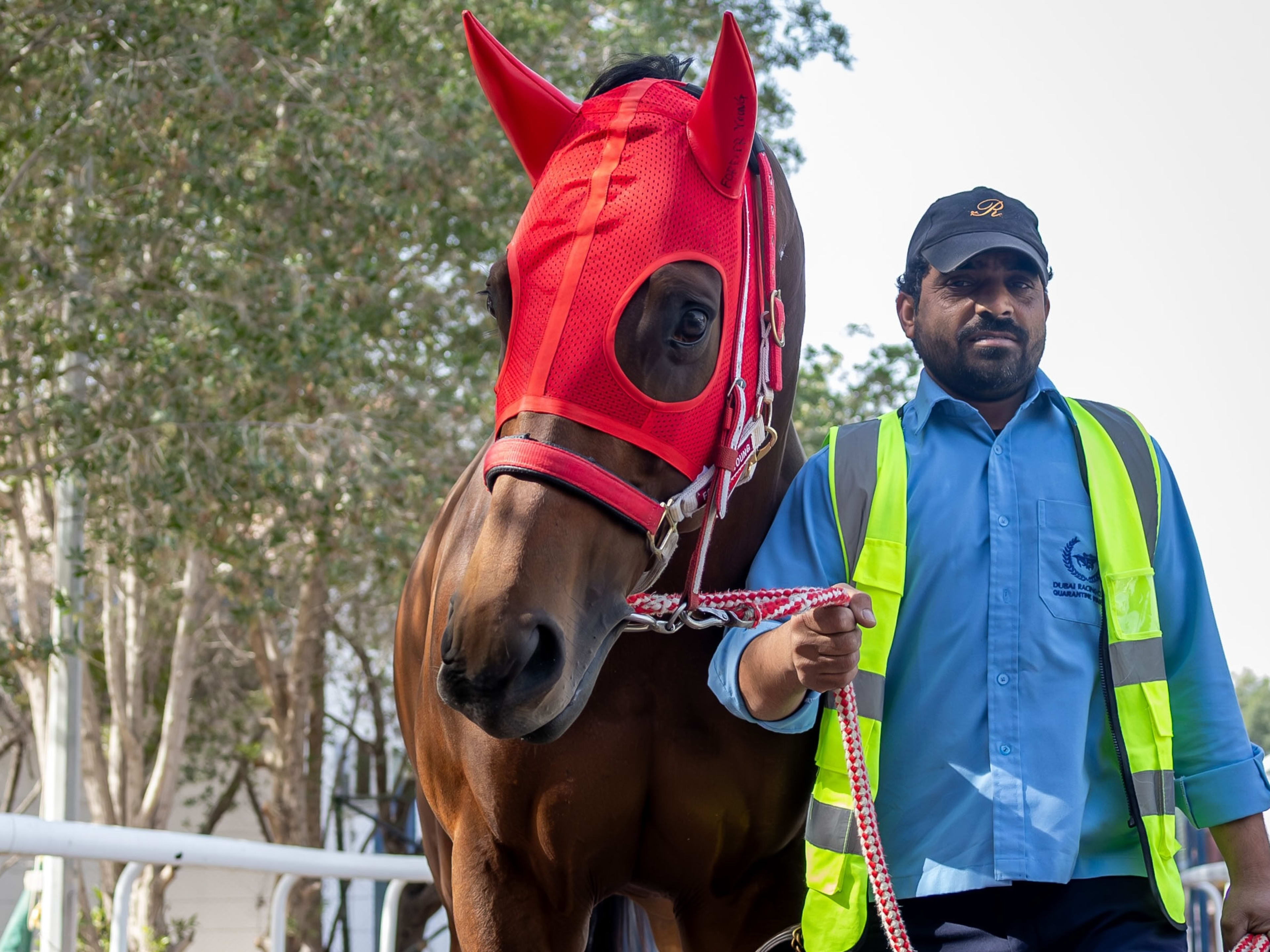 Forever Young - Paulick Report