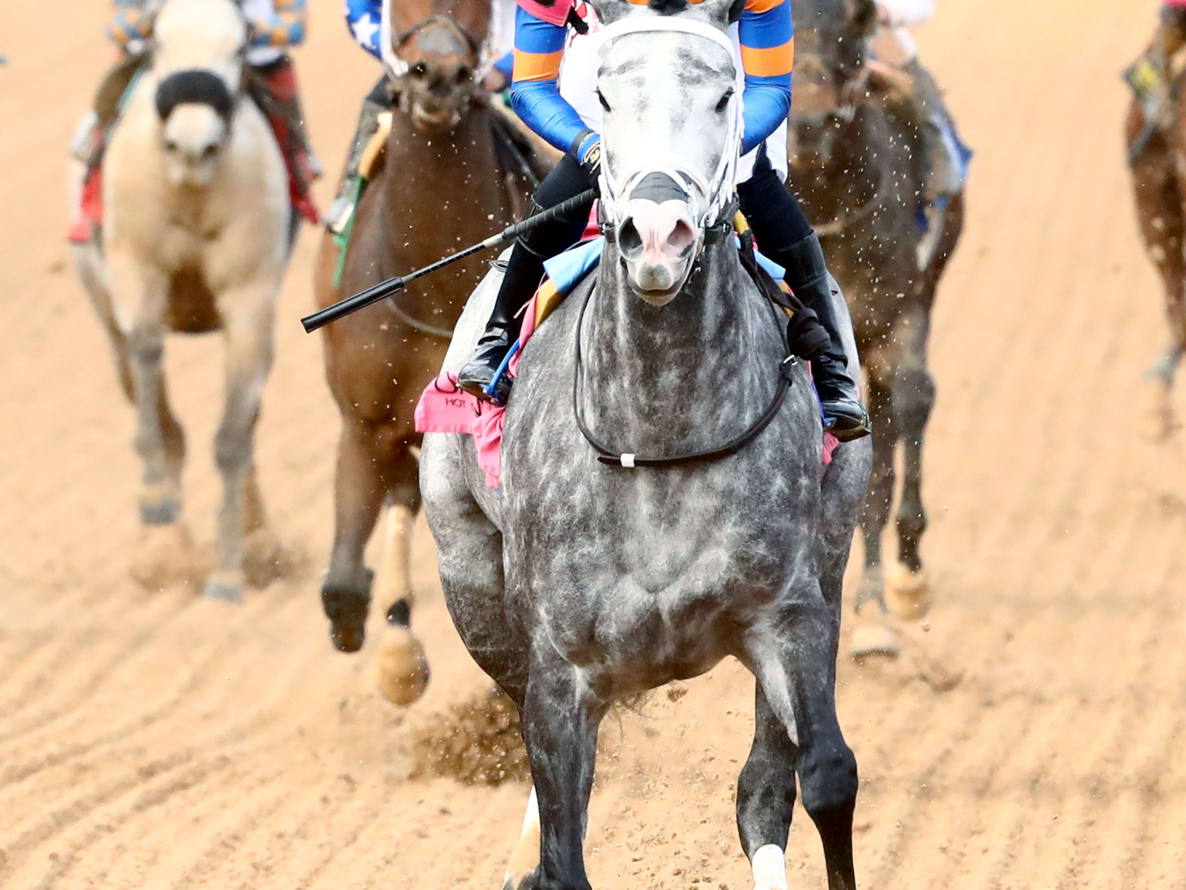 'Deep Roots Here': Mark Cornett Savoring Haulin Ice's History-Making ...