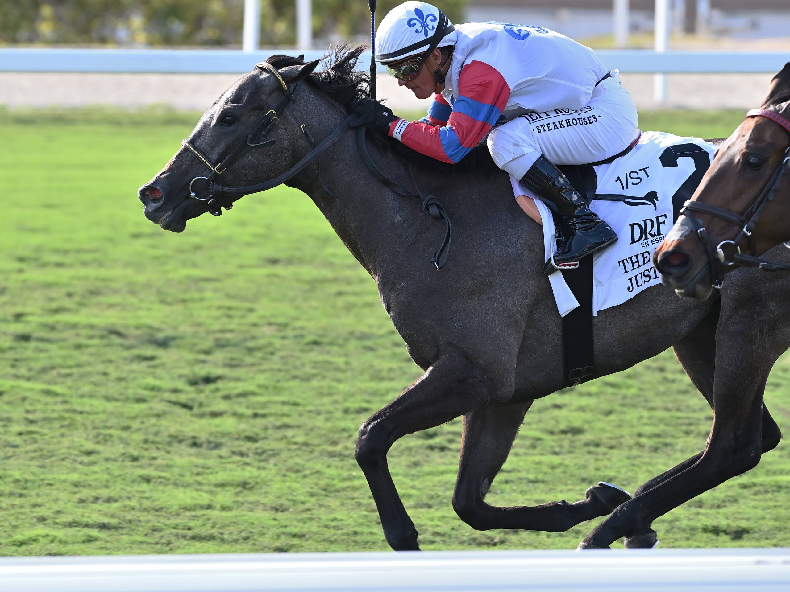 Just Basking - Paulick Report