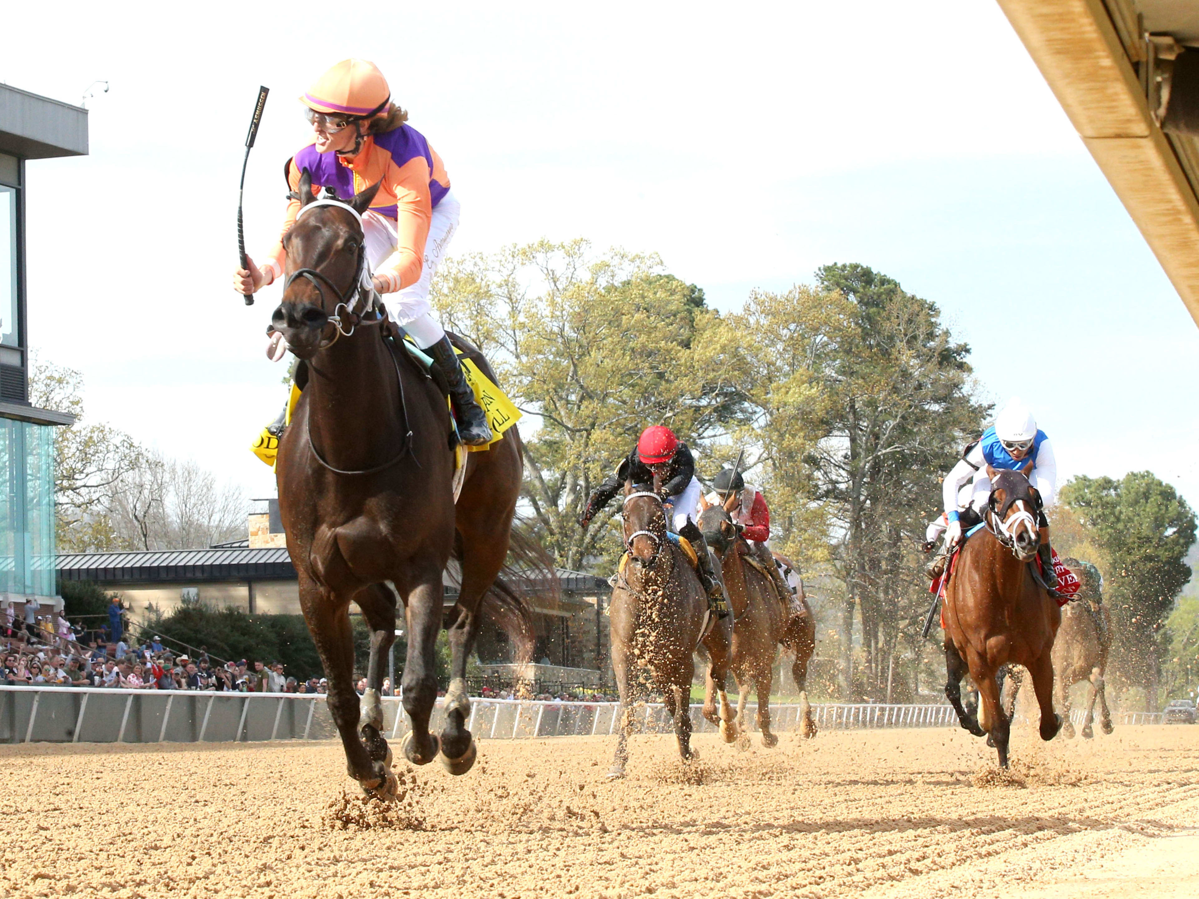 News - Paulick Report