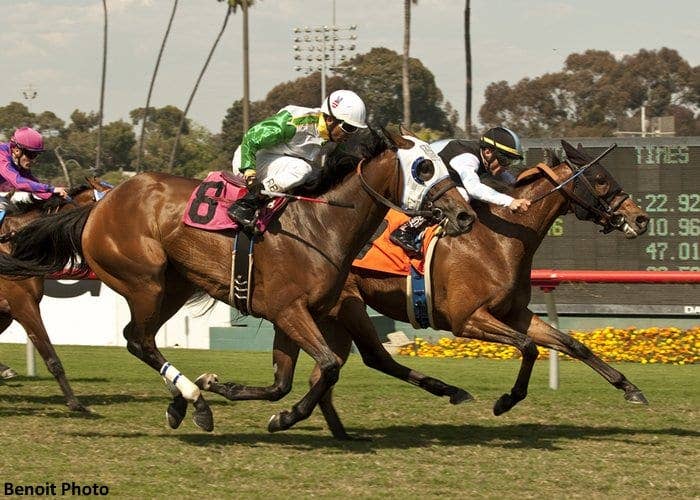 Charlie Em Wins U.S. Debut in Senorita - Paulick Report