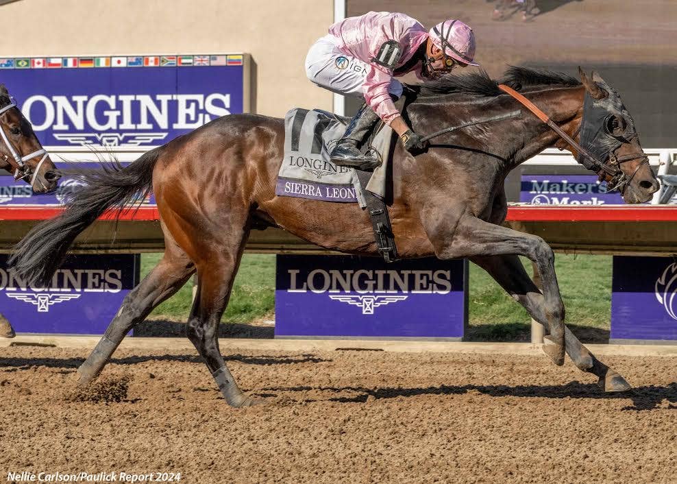 Breeders' Cup Classic Notes: Breeder Debby Oxley Hopes Sierra
