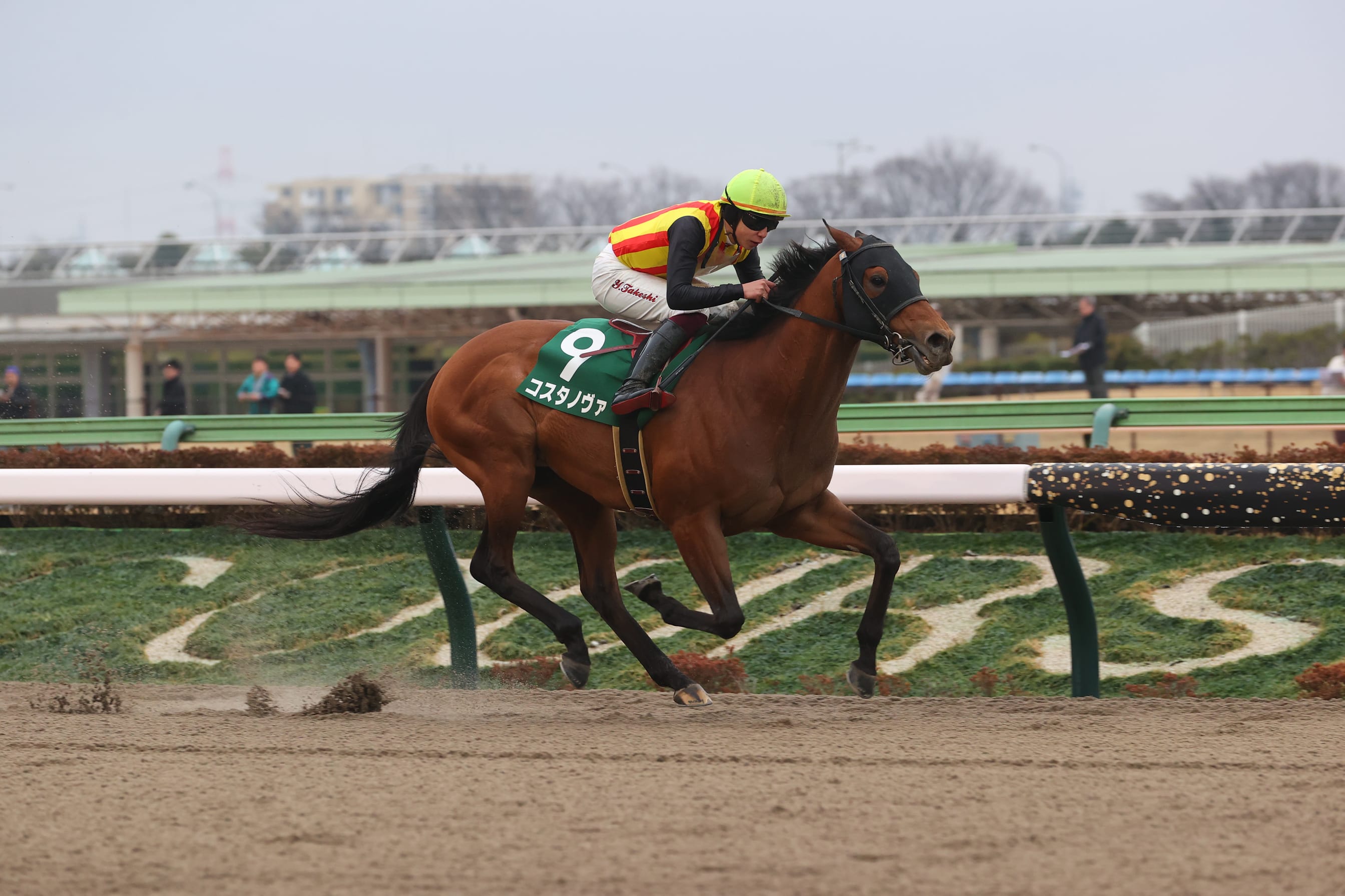 Unbeaten Costa Nova Chasing Breeders' Cup Classic Berth In Japan's